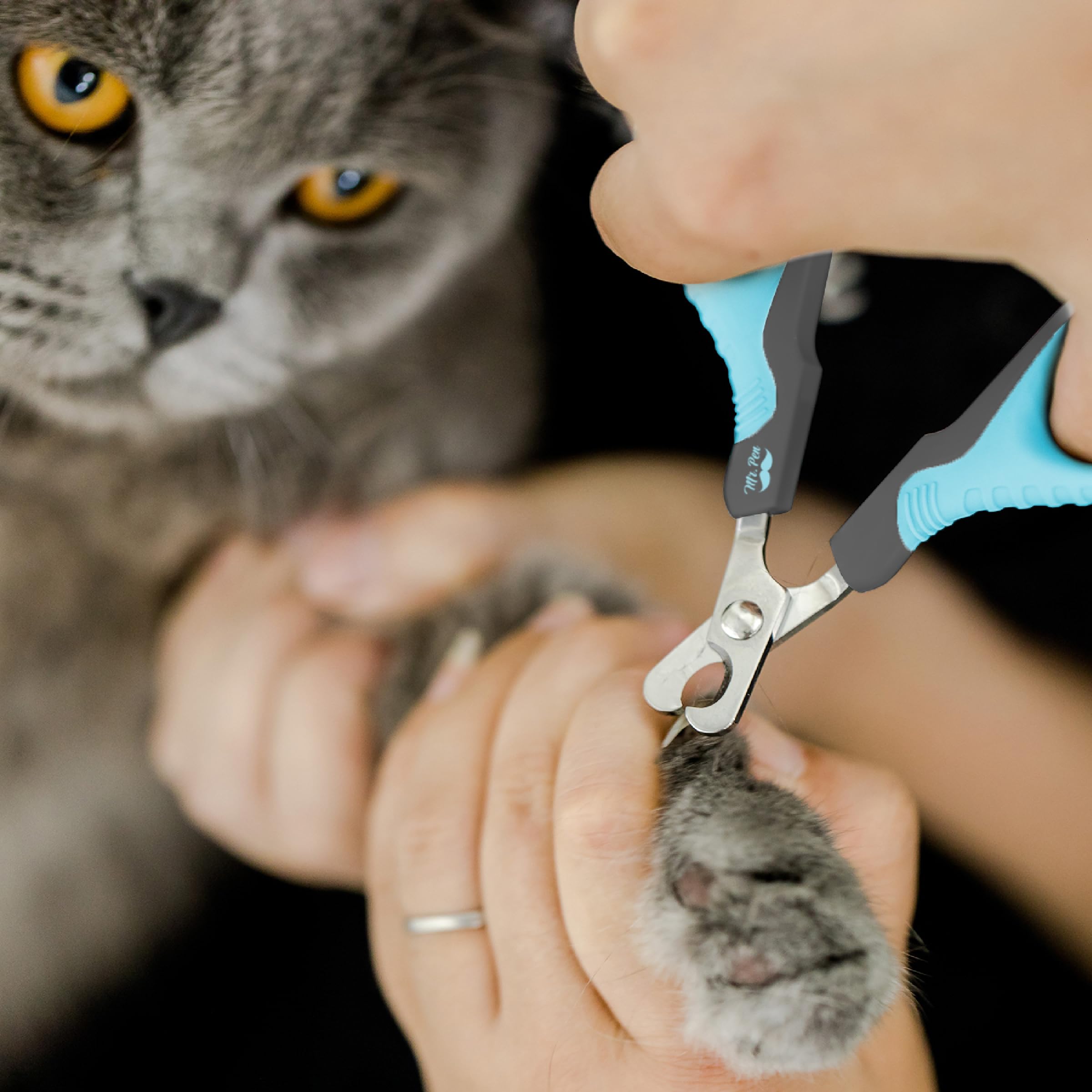 Mr. Pen- Cat Nail Clipper, Sky Blue & Dark Gray Cat Nail Trimmer, Cat Nail Clippers, Cat Claw Clippers, Cat Clippers For Nails, Pet Nail Clippers, Kitten Nail Clipper, Small Dog Nail Clipper