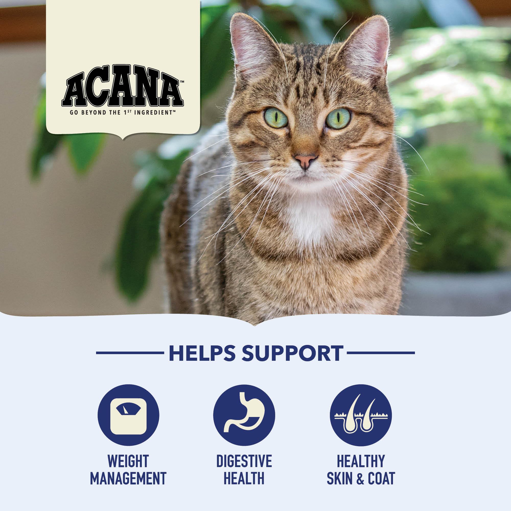 ACANA Indoor Entr  e Fish Recipe Cat 10LB