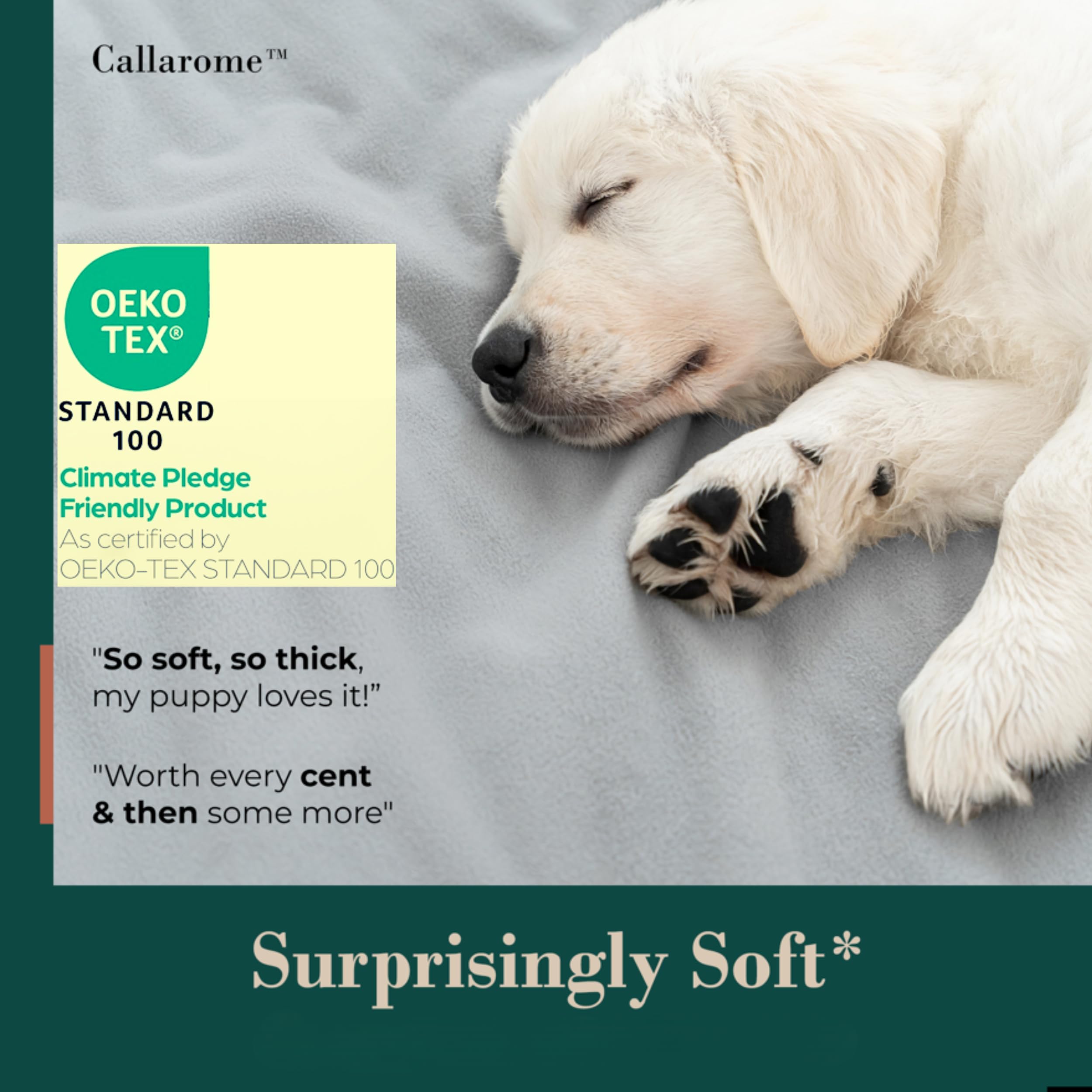 Waterproof Blanket - Multipurpose Blanket for Dogs, Pets or Kids - Soft Reversible Furniture Protector for Bed, Couch, or Dog Cr