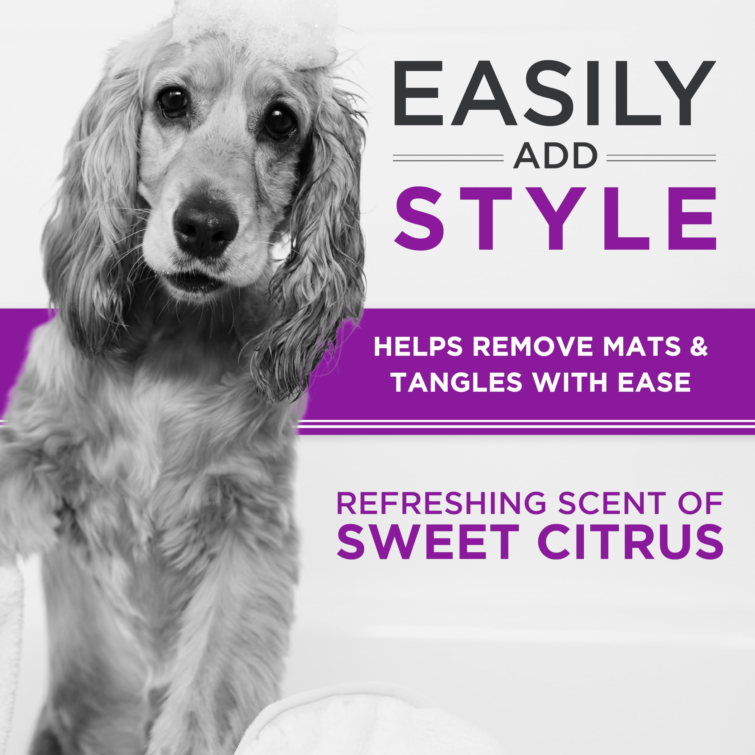 Tropiclean Perfectfur Detangling Dog Shampoo For Curly And Wavy Coats| 5:1 Concentrated Groomer Gallon| Made In The Usa| 1 Gallo