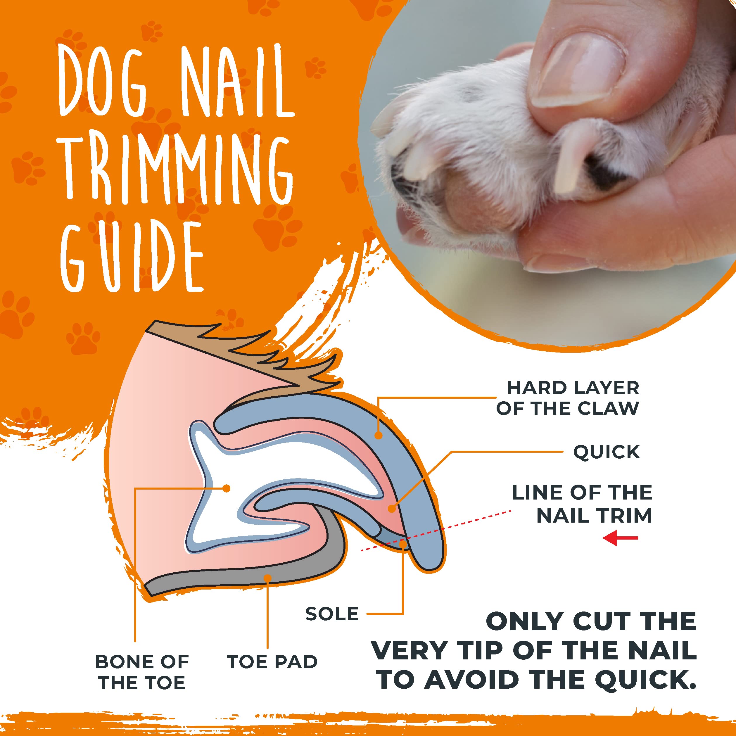 Mighty Paw Dog Nail Clippers | Pet Claw Trimmers & File Grooming Set With A Built-In Safety Guard To Avoid Cutting Too Short. Sh