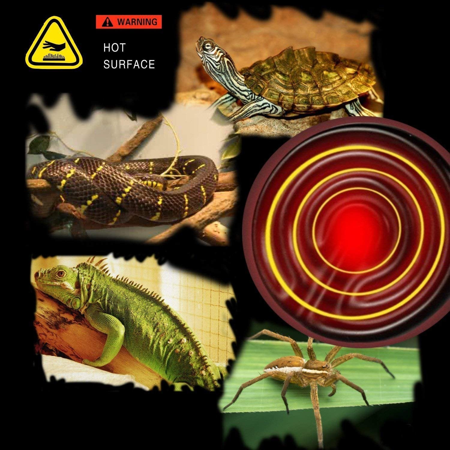 Omaykey 2-Pack 100W Ceramic Heat Lamp With 1-Pcs Digital-Thermometer, Infrared Heat Emitter Bulbs For Reptiles, Amphibians, Chicken Brooder Coop Lizard Turtle Snake, No Light No Harm