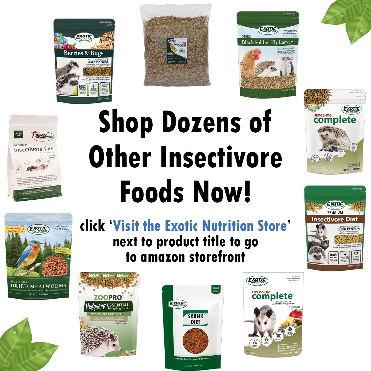 Berries & Bugs (10 lb.) - All Natural High Protein High Fiber Insectivore Diet with Fruit, Gut-Loaded Insects, & Healthy Vitamin