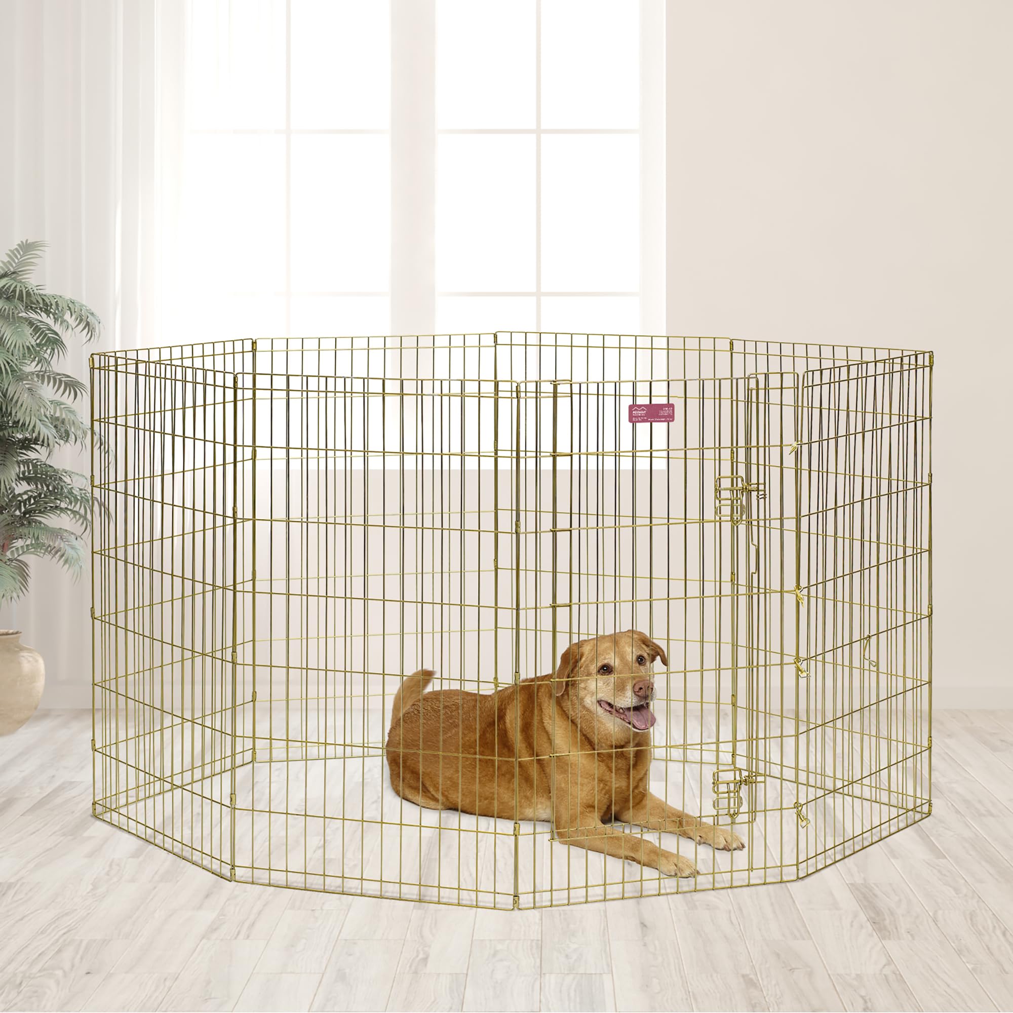 Midwest Homes For Pets Dog Exercise Pen & Playpen, 24'W X 42'H, No Door, Gold Zinc