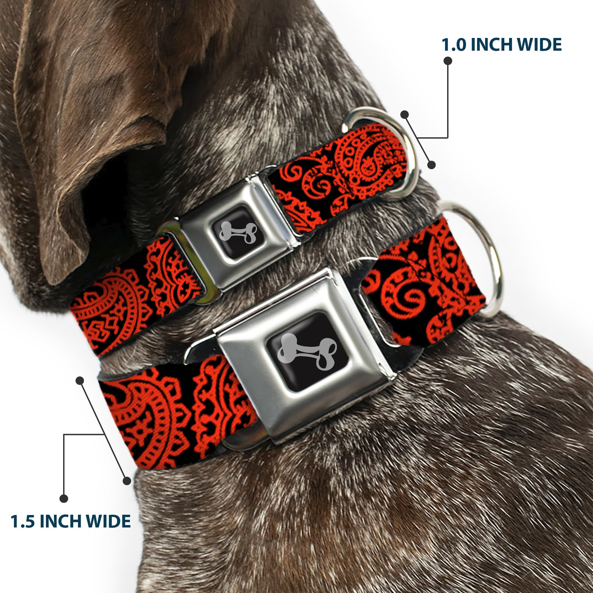 Dog Collar Seatbelt Buckle Bandana Skulls Black Orange 11 To 17 Inches 1.0 Inch Wide