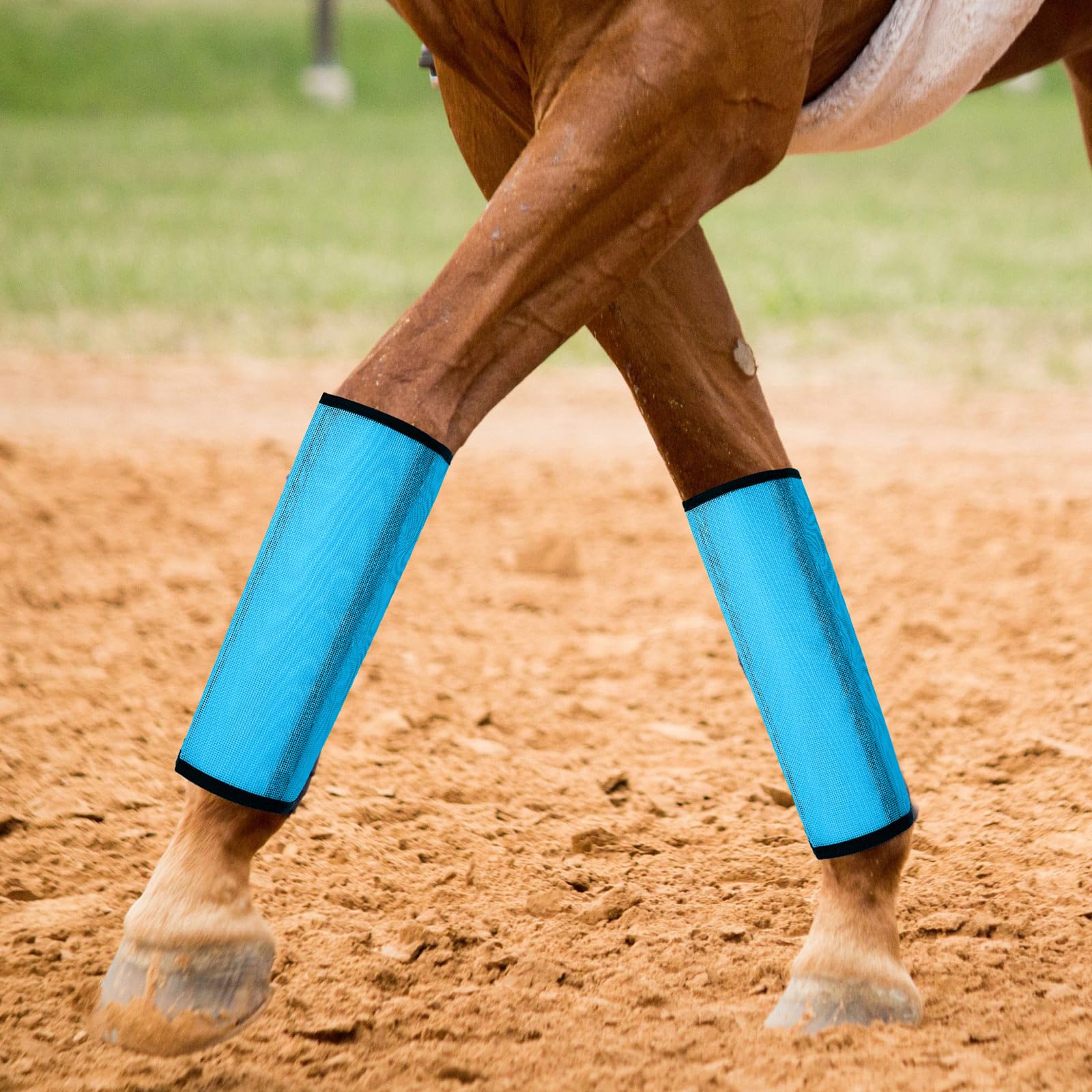 Jexine Set of 8 Mesh Fly Boots for Horse Loose Fitting Non Slip Breathable Horse Fly Legging Protective Reduces Stress Leg Fatig