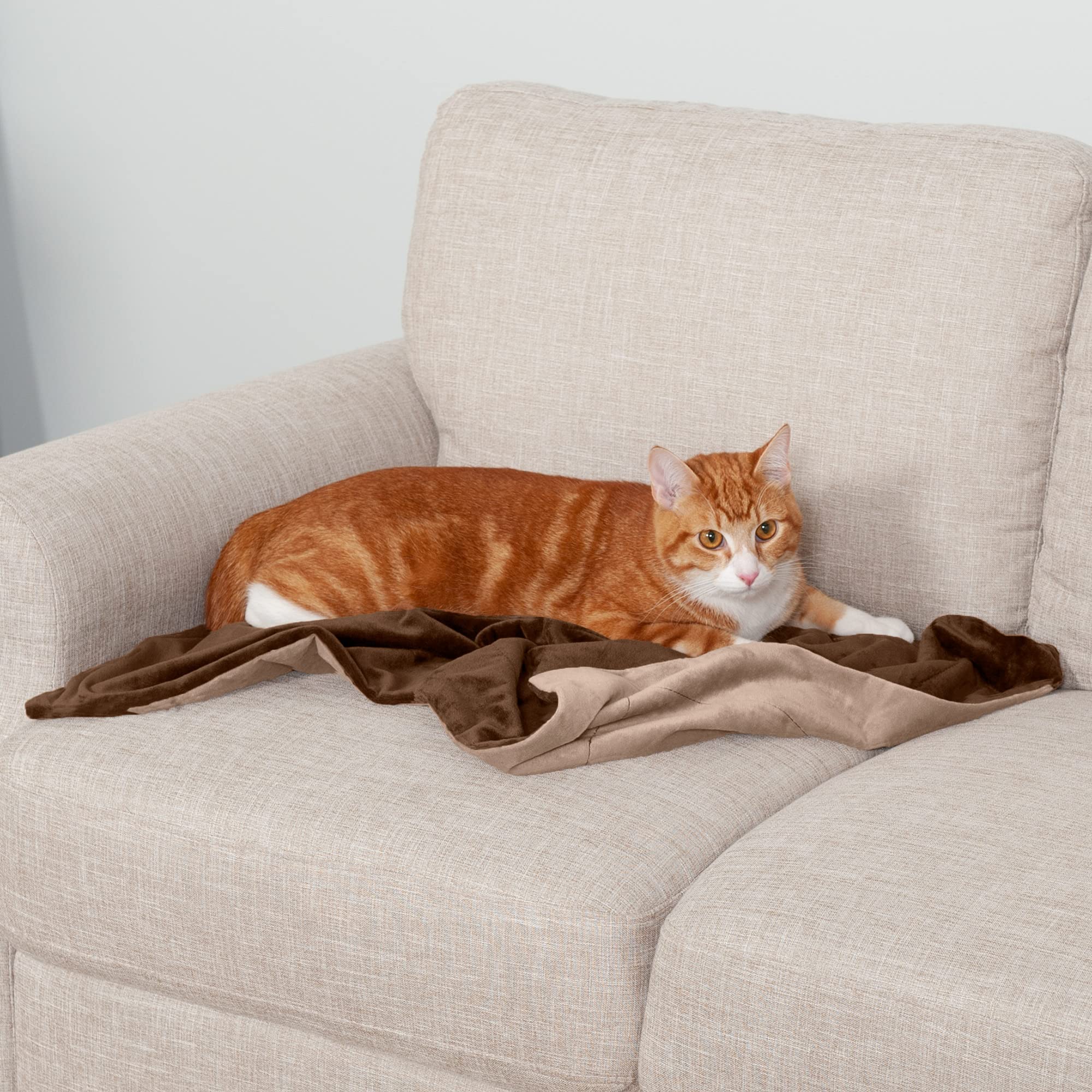 Furhaven Waterproof Throw Blanket For Dogs & Indoor Cats, Washable - Two-Tone Luxe Velvet Dog Blanket - Brownstone, Small