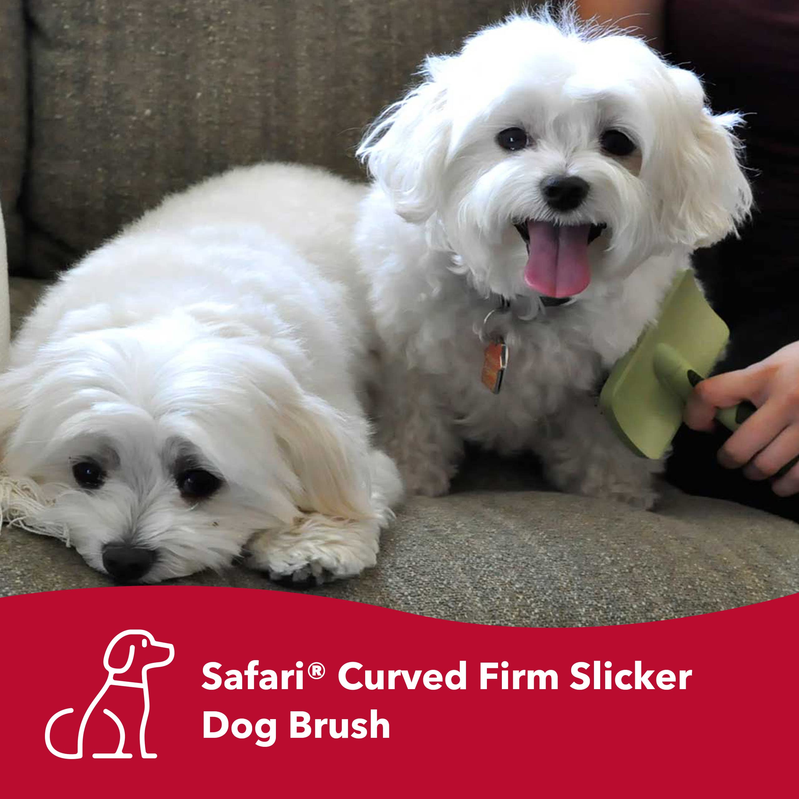 Coastal Pet Safari Curved Firm Slicker Dog Brush - Dog Deshedding Brush - Prevents Mats And Tangled Hair - For Dogs With Short Or Long Hair - One Size - 6.5' X 3.06'