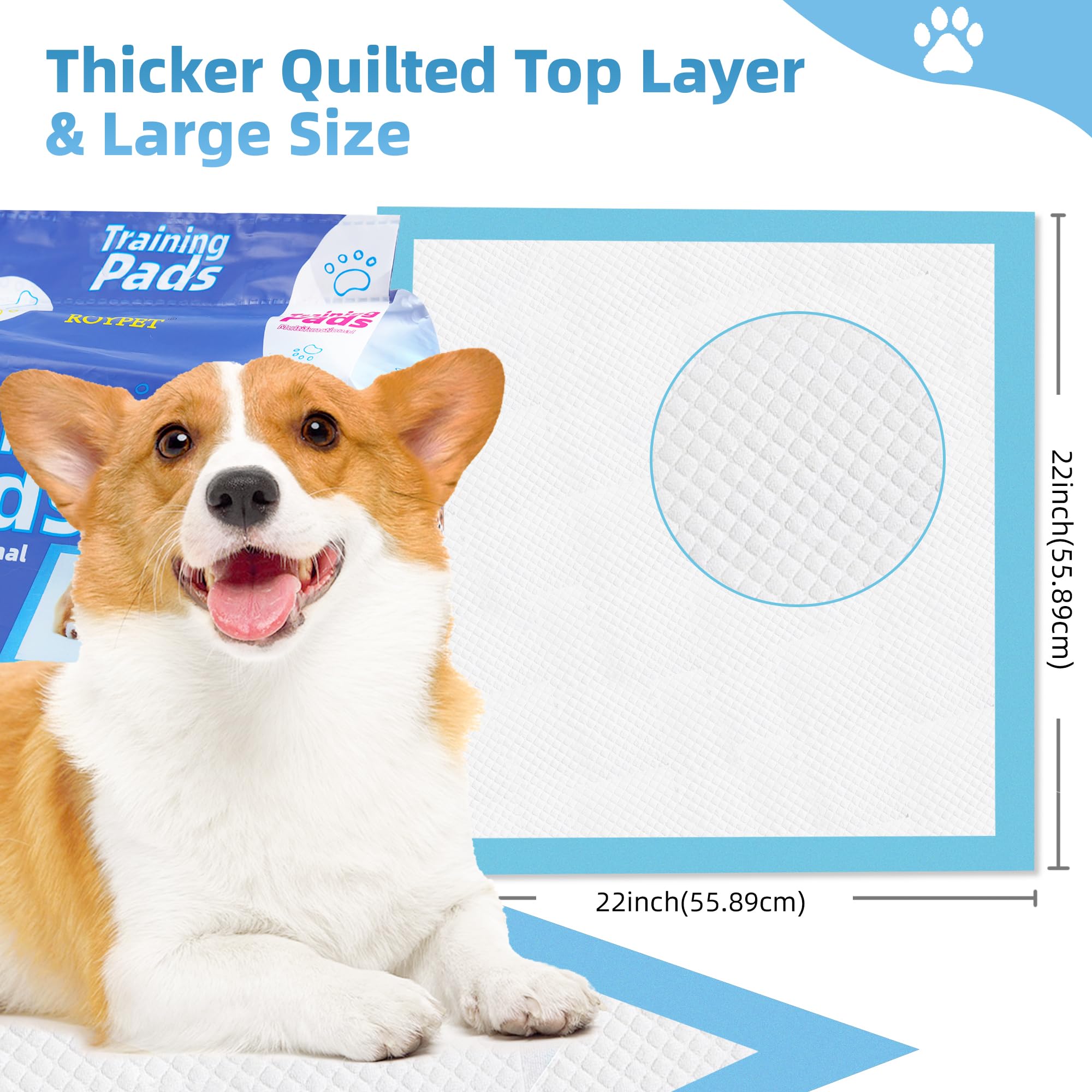 Roypet 22 x 22 Puppy Training Pads in Bag, 100-Count