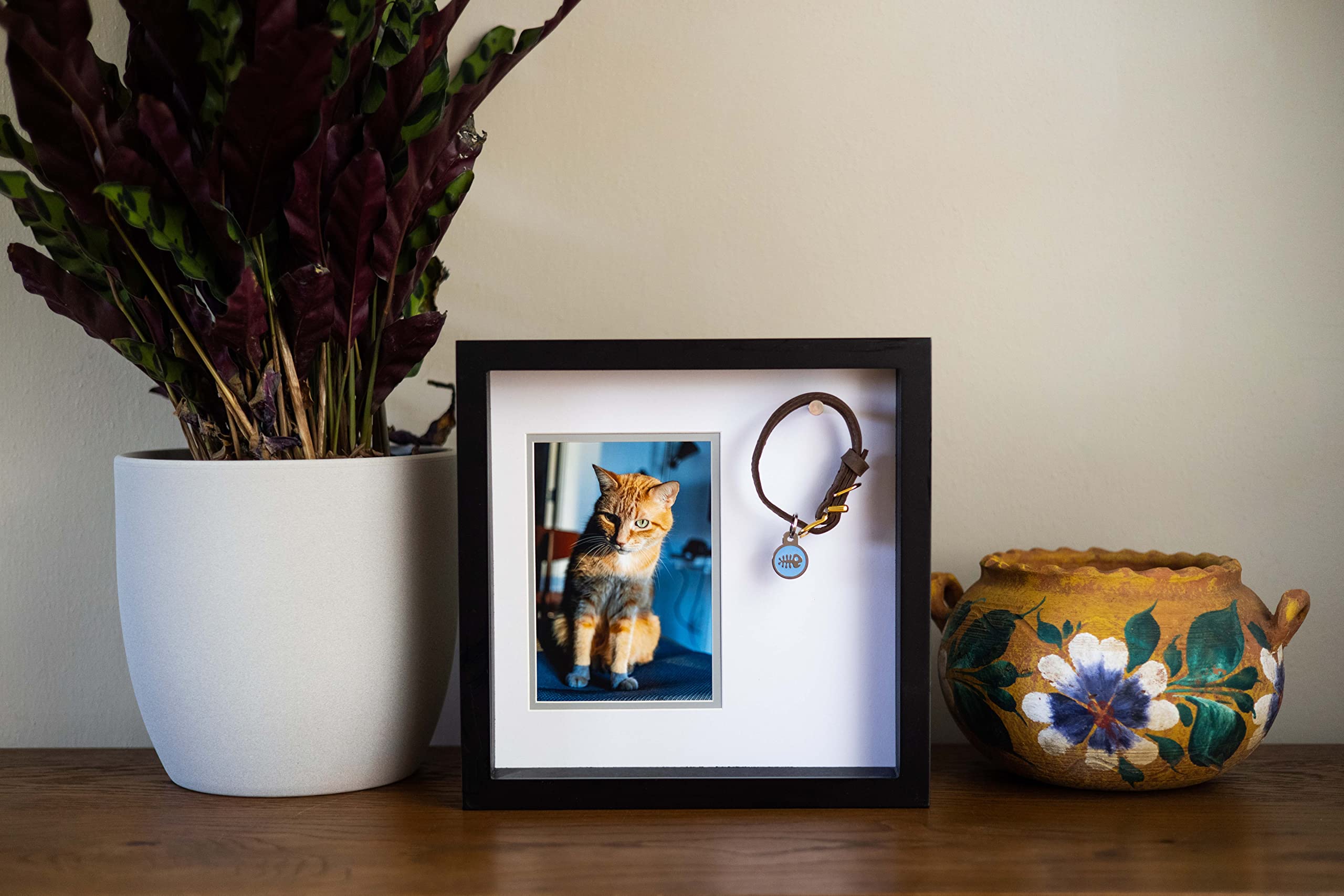 Pearhead Pet Collar Keepsake Picture Frame - Black, 4.5" x 6.5", Dog/Cat Memorial Gift, Model 89033