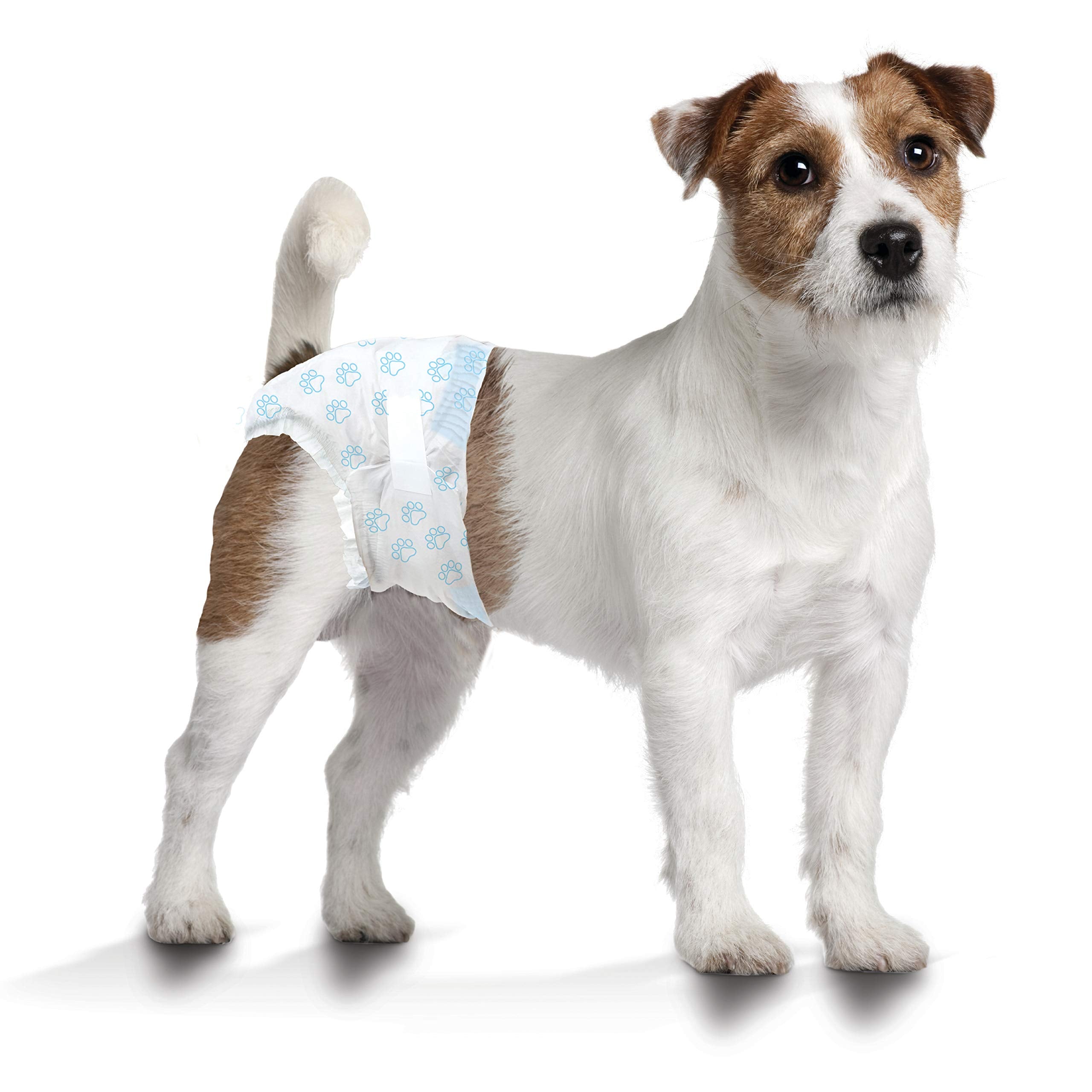 Four Paws Wee-Wee Super Absorbent Disposable Adjustable Dog Potty Training Diapers, Leak-Proof Protection for Puppies and Small