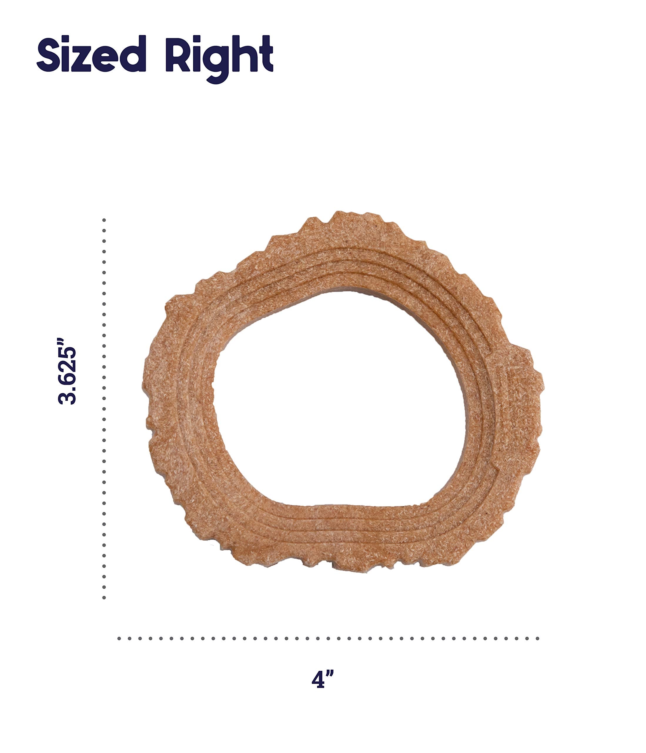 Petstages Dogwood Ring Dog Chew Toy, Small - Durable Wood Material, Model 67820, Ideal for Small Dogs