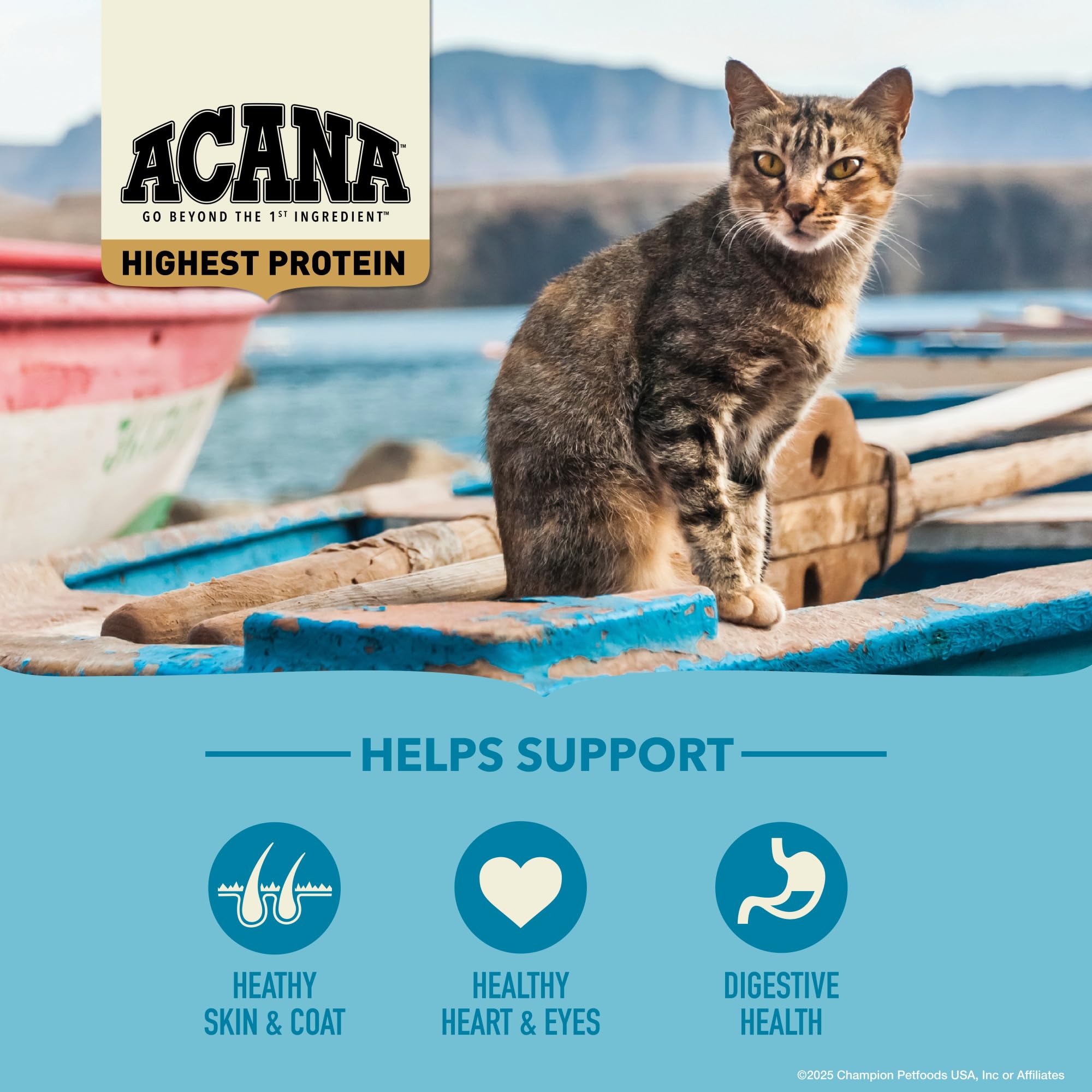 ACANA Highest Protein Dry Cat Food, Wild Atlantic, Grain Free Saltwater Fish With Freeze-Dried Liver Recipe, 4lb