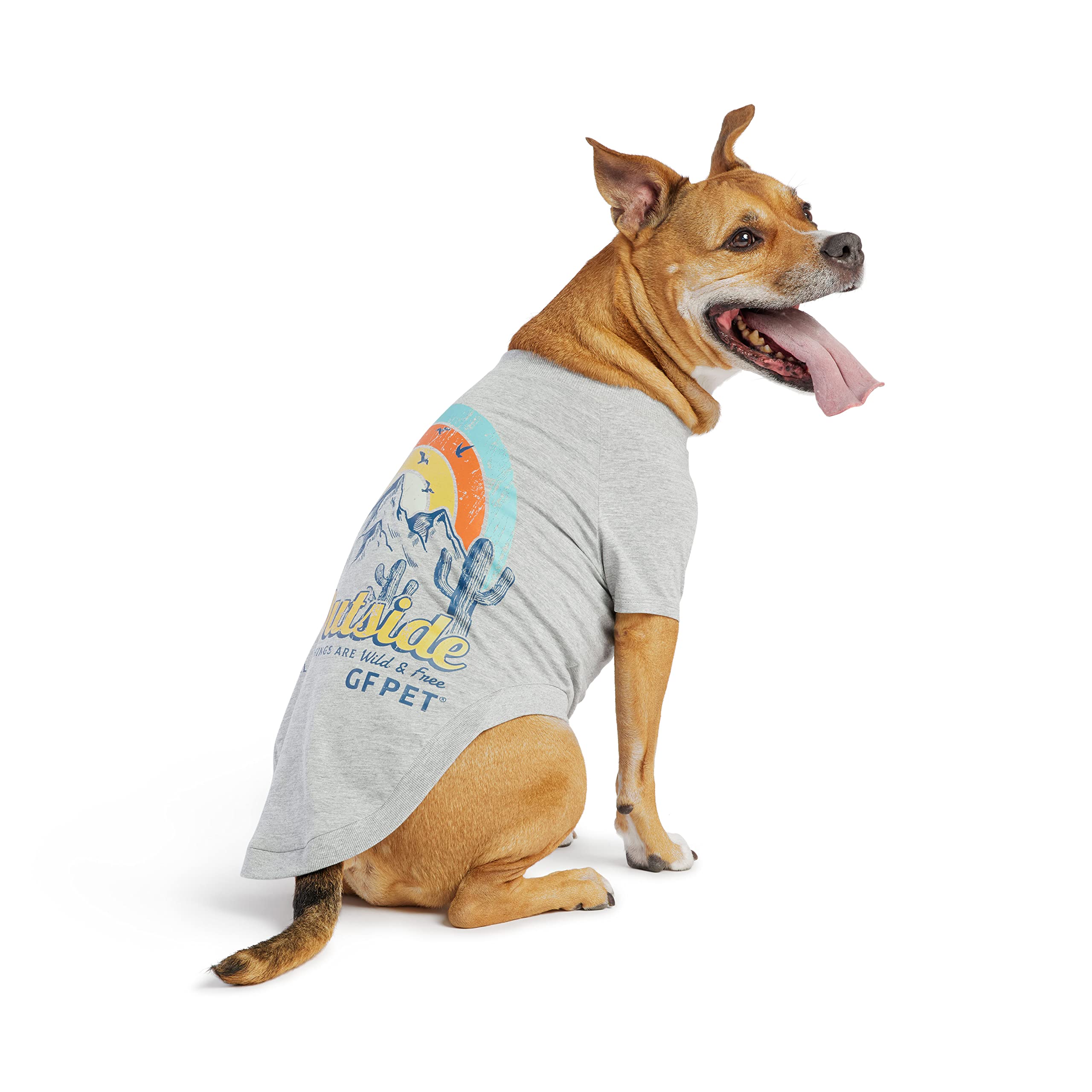 Gf Pet - Graphic Tee Dog T-Shirt (Heather Grey, Small)