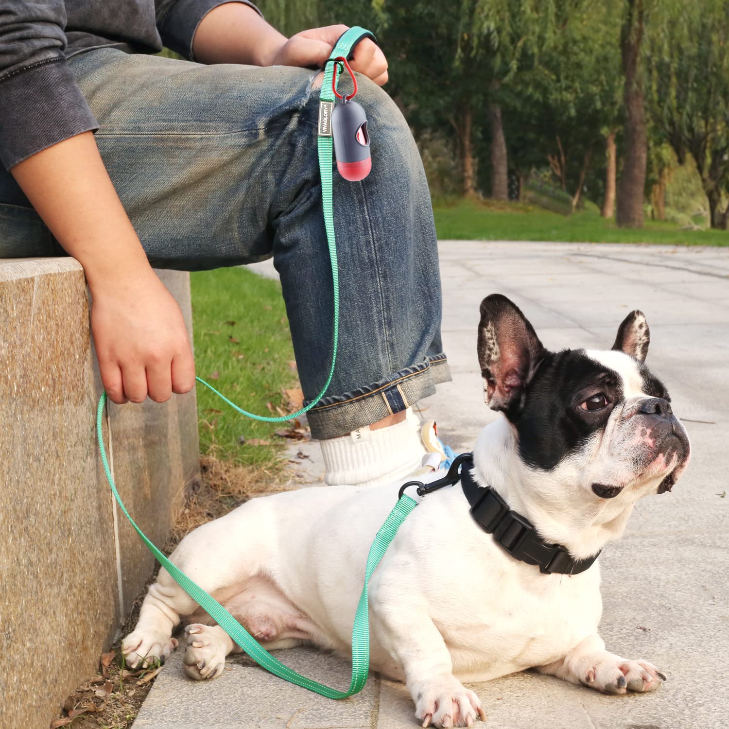 Vivaglory Dog Leash, Dog Training Leash With Comfortable Neoprene Padded Handle, Heavy Duty Walking Leash For Small & Medium Dogs
