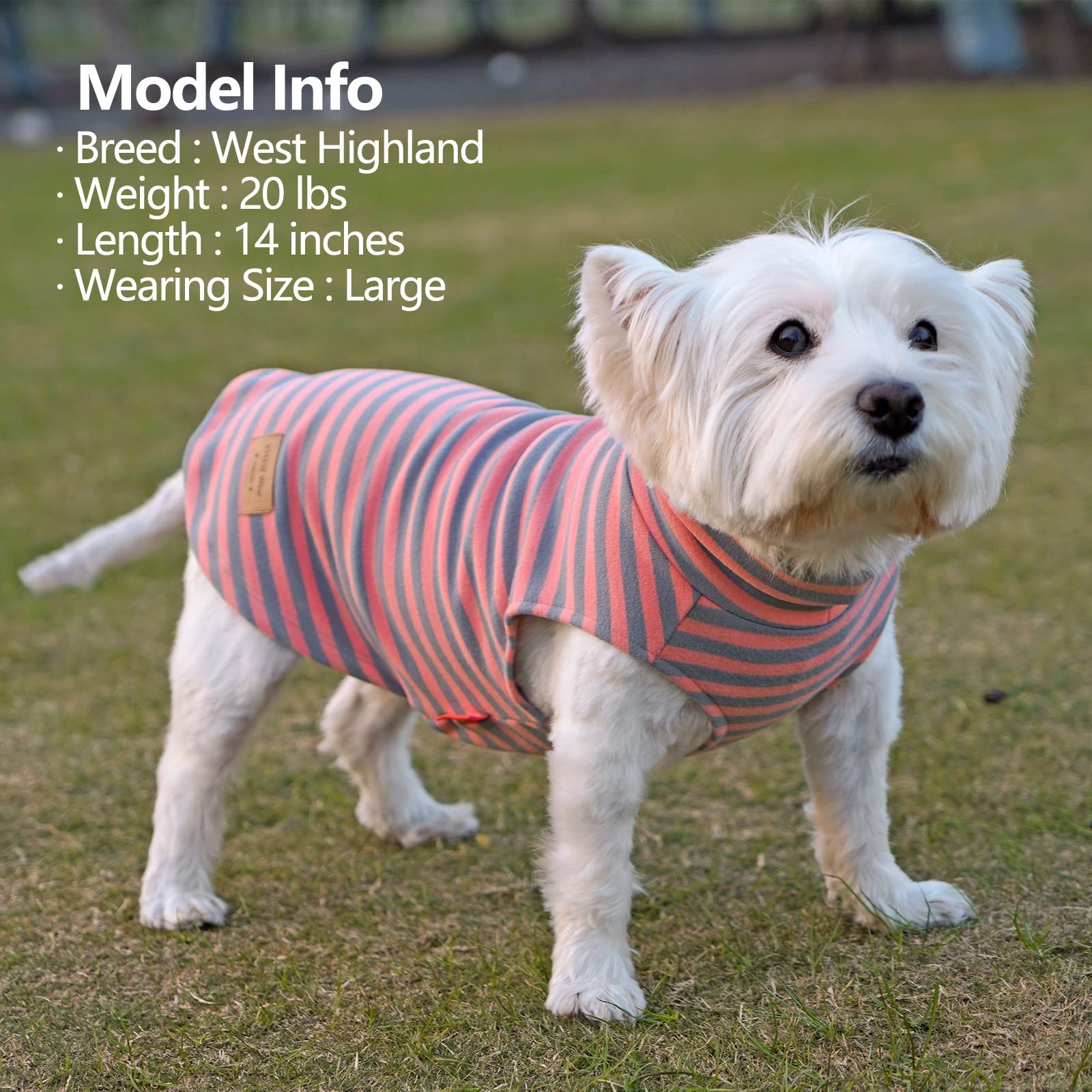 Kyeese 2Pack Dog Coat Turtleneck Stretchy Dog Sweater Super Soft Dog Cold Weather Coat For Small Dogs Puppy In Sleeveless Design, Grey,S