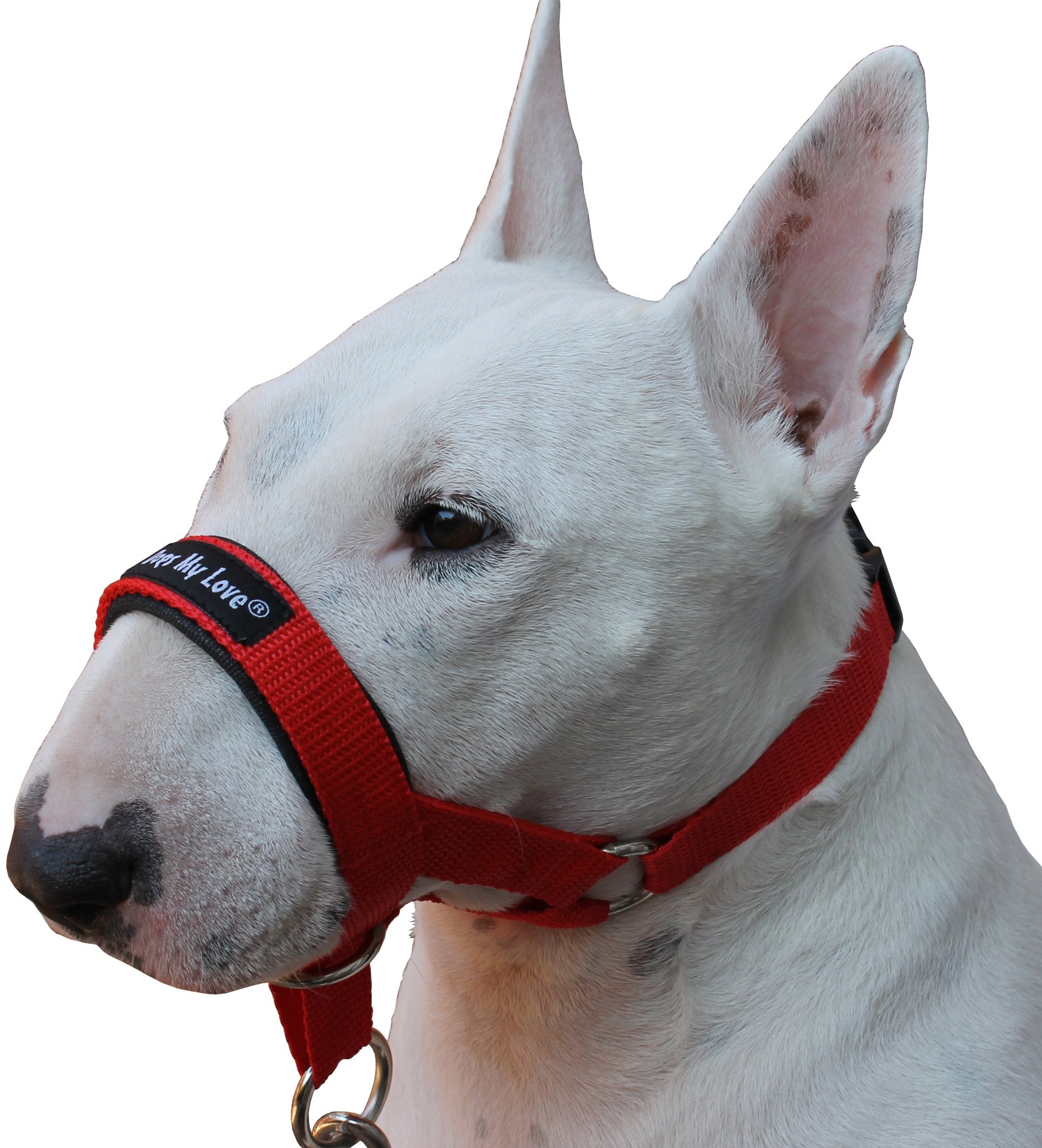 Dog Head Collar Halter Red 6 Sizes (S: 6.5'-8.25' Snout)