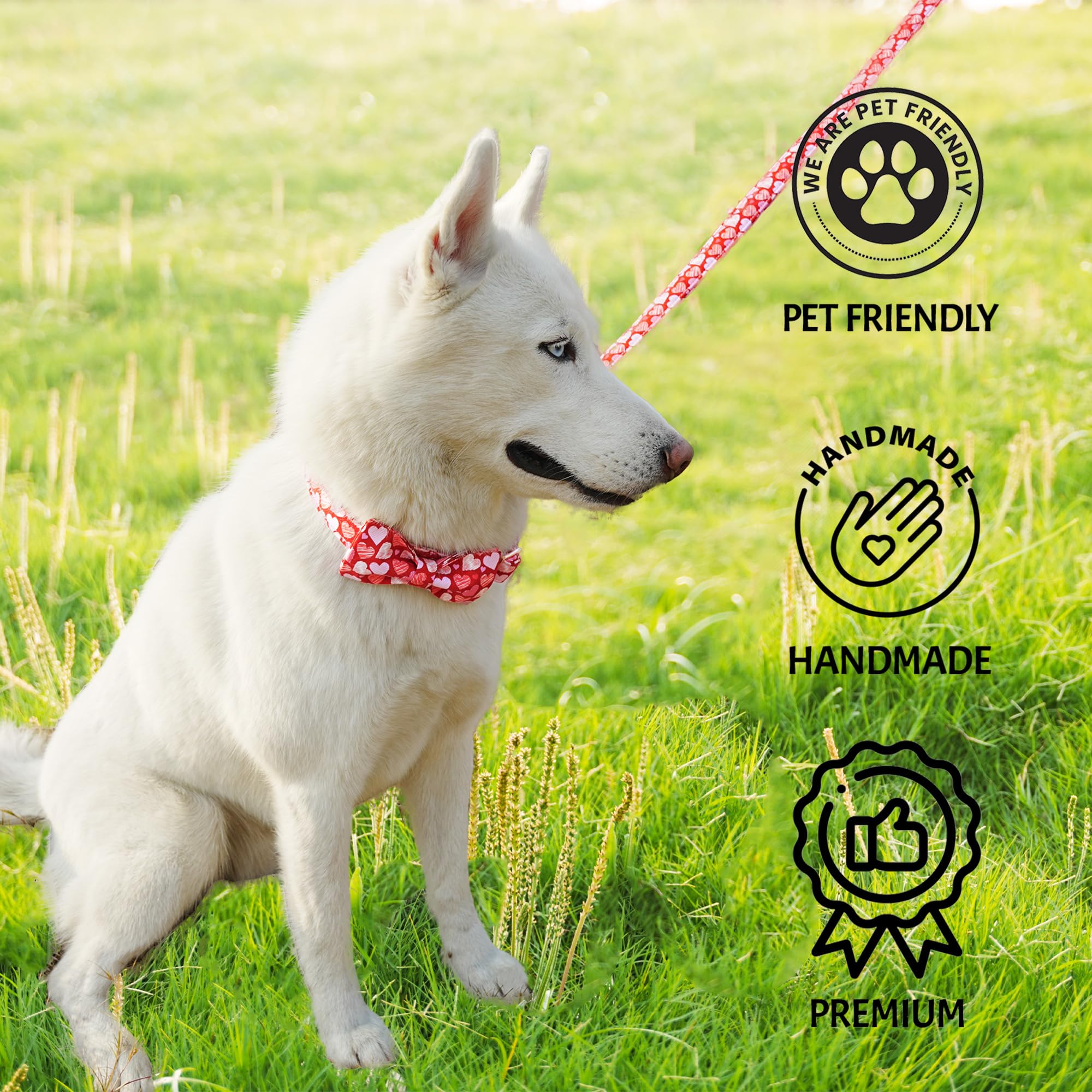 Tunkoo Valentine'S Day Dog Collar With Bow - Adjustable, Heart Print Design, Rose Gold Metal Buckle Cute & Stylish Pet Accessory