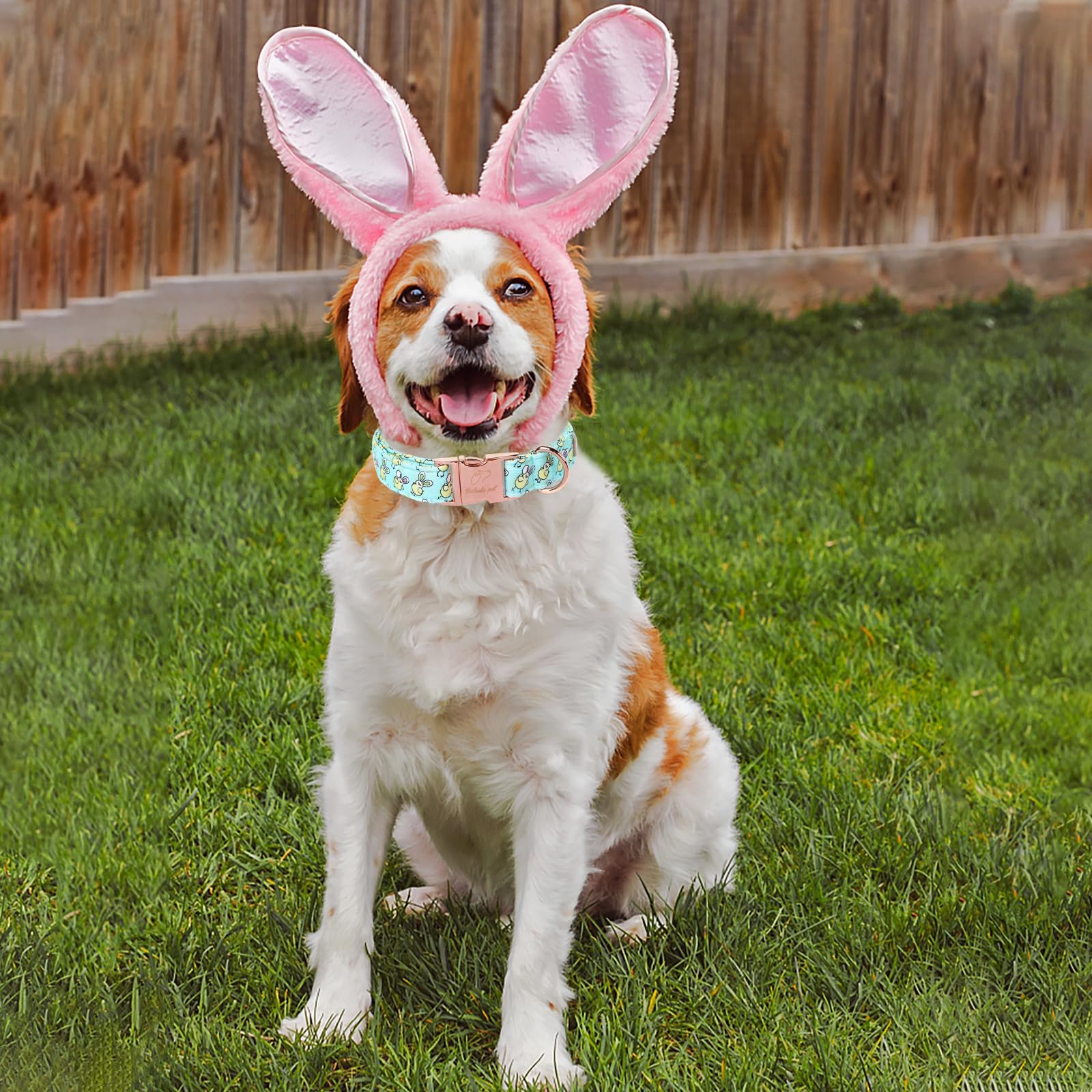Babole Pet Easter Dog Collar, Cute Easter Chick Pet Collar With Metal Buckel, Durable Adjustable Holiday Dog Collars For Small M