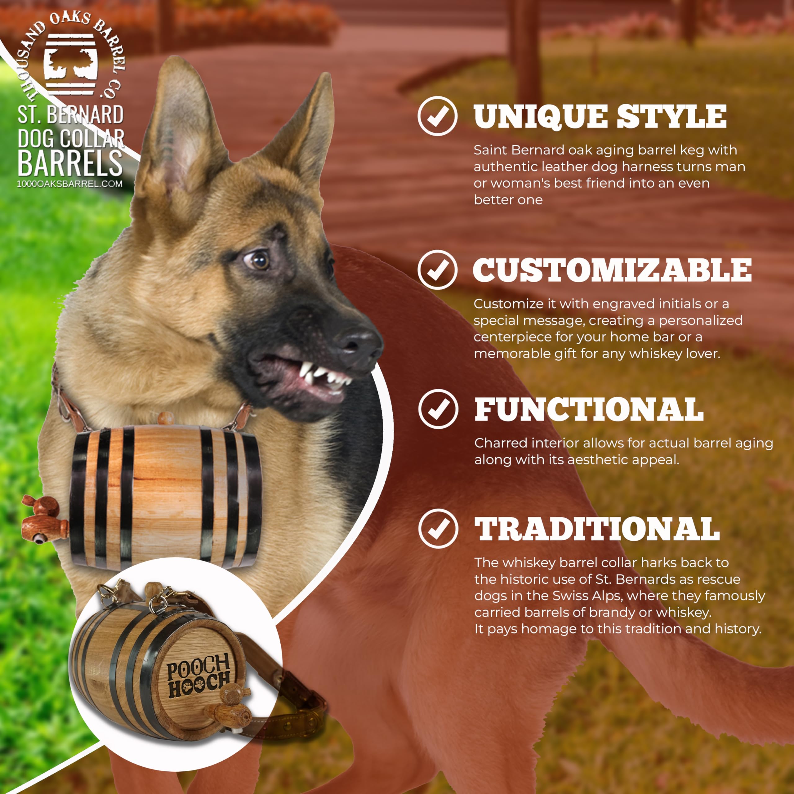 St Bernard Whiskey Barrel Collar For Dog, 'Pooch Hooch' W/ Paws Design - 1/2 Liter Oak Aging Barrel Dispenser For Saint Bernard