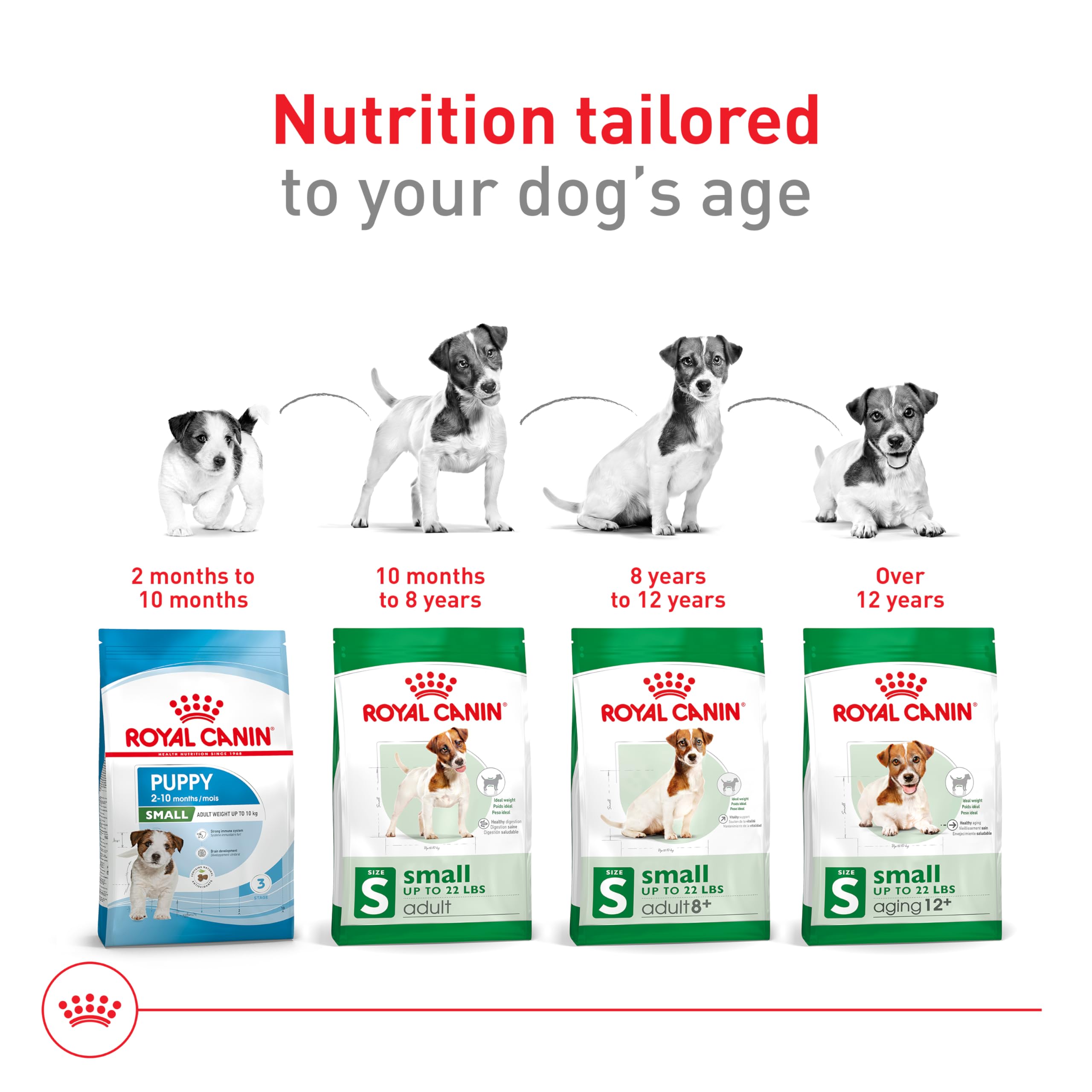 Royal Canin Size Health Nutrition Small Aging 12+ Dry Dog Food, 2.5 lb bag