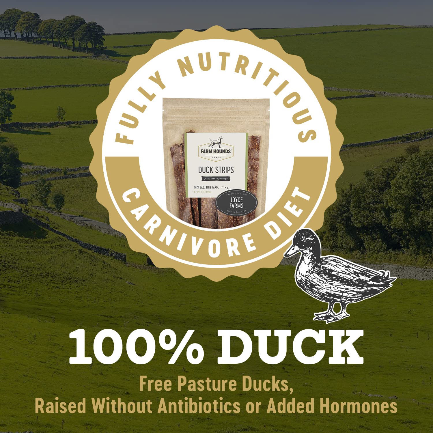 Farm Hounds - Duck Strips - Premium Natural Jerky for Dogs - Made from 100% Humanely Raised Duck - Break-to-Size - Great for Tra