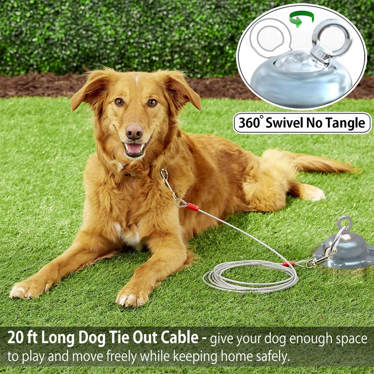 Pestairs 360 Swivel Dog Tie Out Cable and Stake - 50 Ft Dog Yard Leash and Stake Rust Proof for Small Medium Large Dogs - Petfec