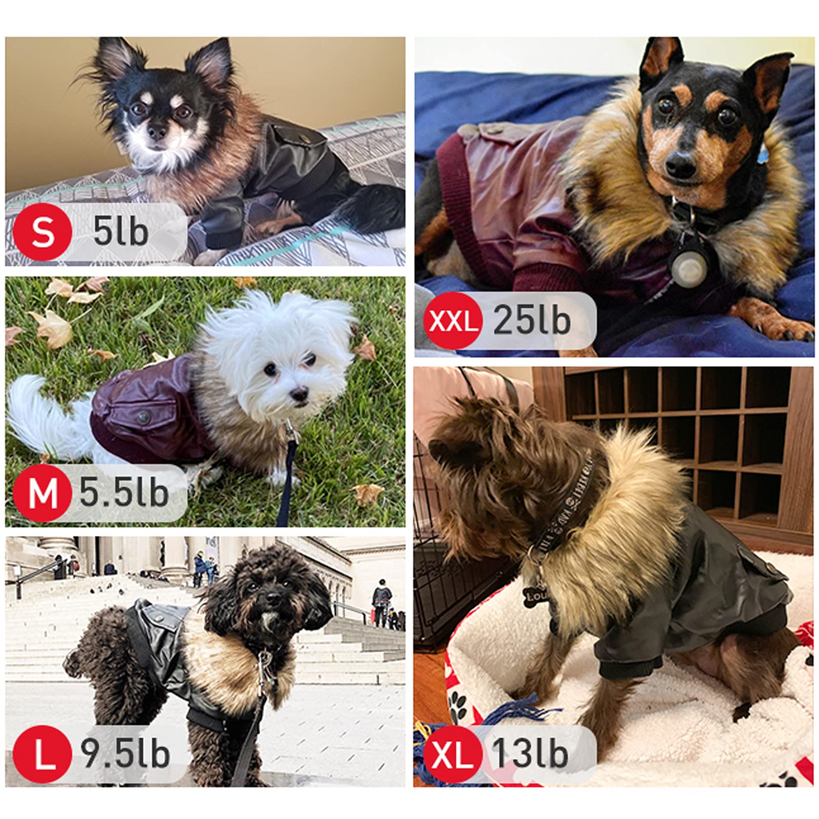 Lesypet Warm Dog Jacket Winter Dog Coats Windproof Waterproof Fleece Lined Dog Leather Jackets For Small Dogs Puppy, Red Medium