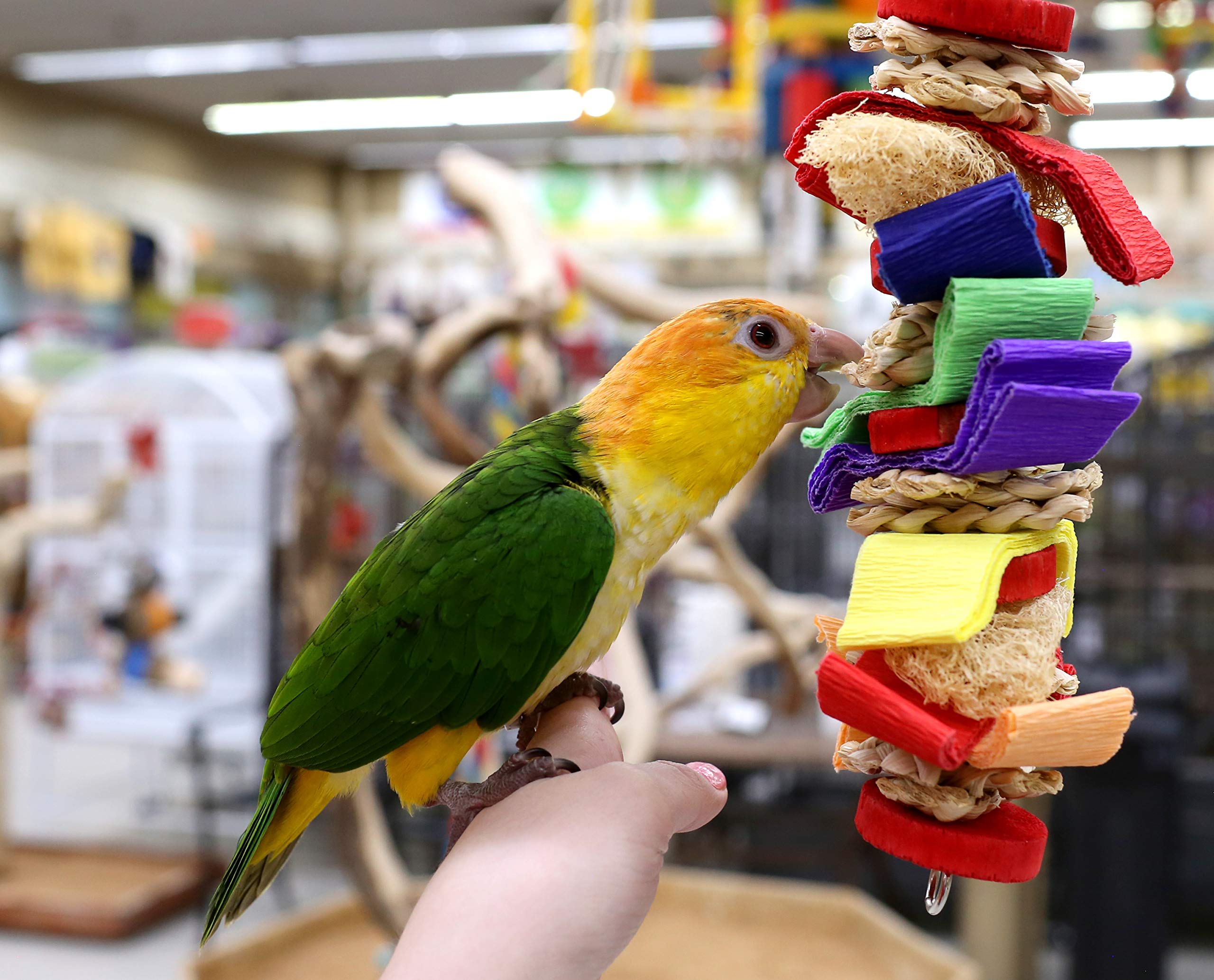 Loofah Drizzle Shreddable Medium Parrot Toy