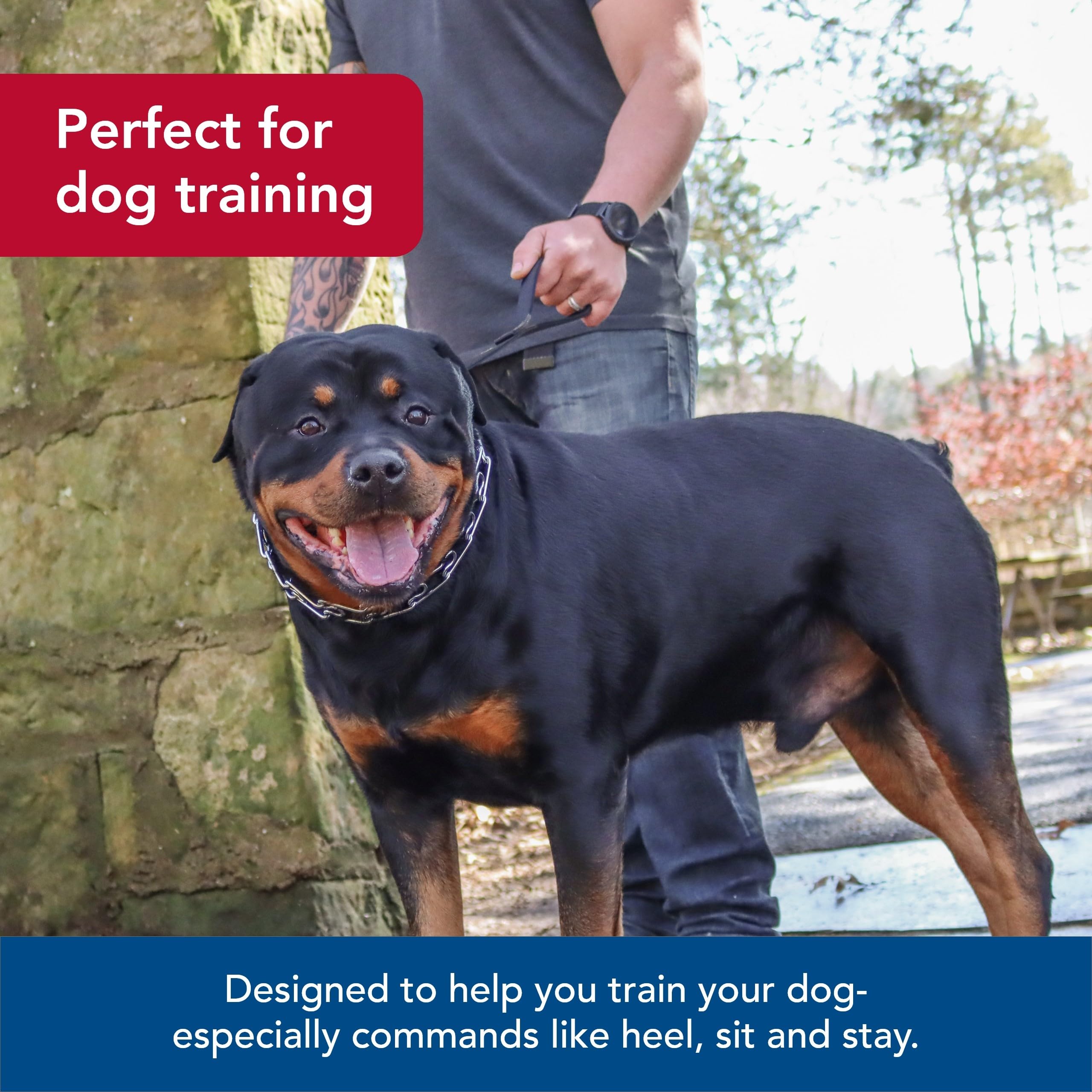 Coastal Pet Titan Dog Prong Training Collar - Rust-Resistant And Prong Metal Training Chain Collar For Dogs - Quality Supplies - 4 Mm X 22'