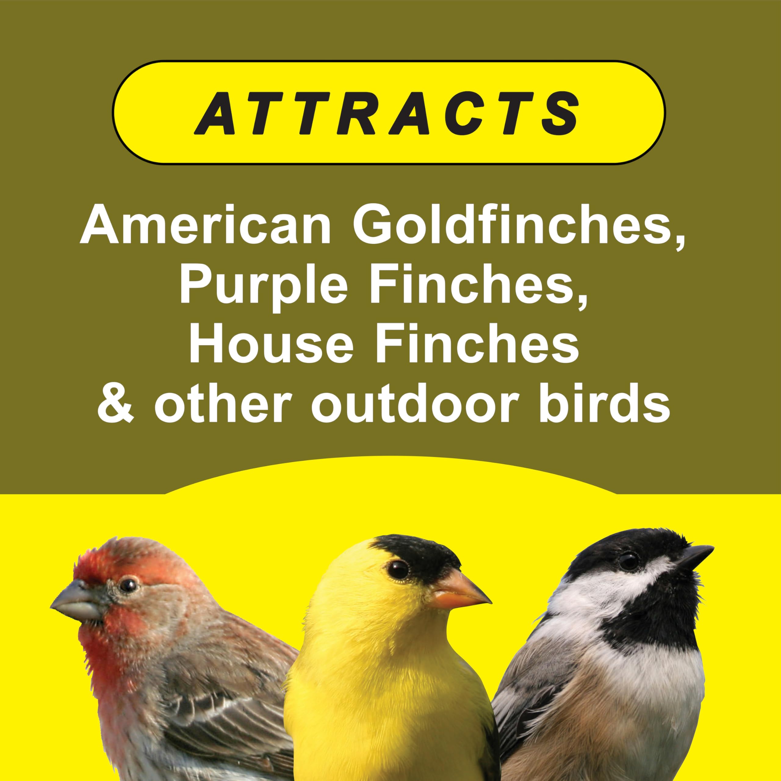 BIRDFOOD SPECIAL FNCH 5# (Pack of 1)