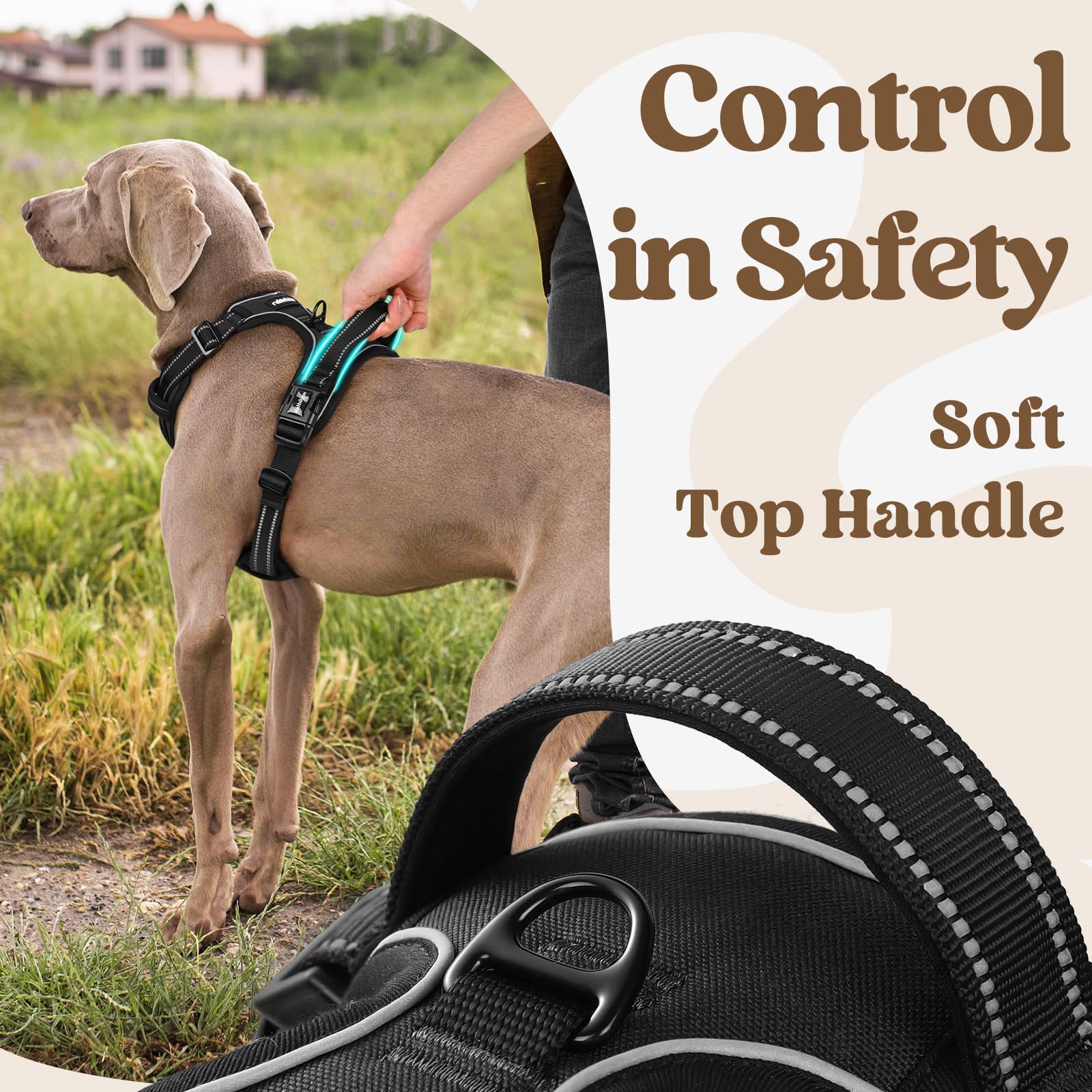 Rabbitgoo Dog Harness Small Sized, No Pull Pet Harness With 3 Buckles, Adjustable Soft Padded Pooch Vest With Instant Control Handle, Easy Walking Reflective Pet Vest For Small Dogs, Black, S