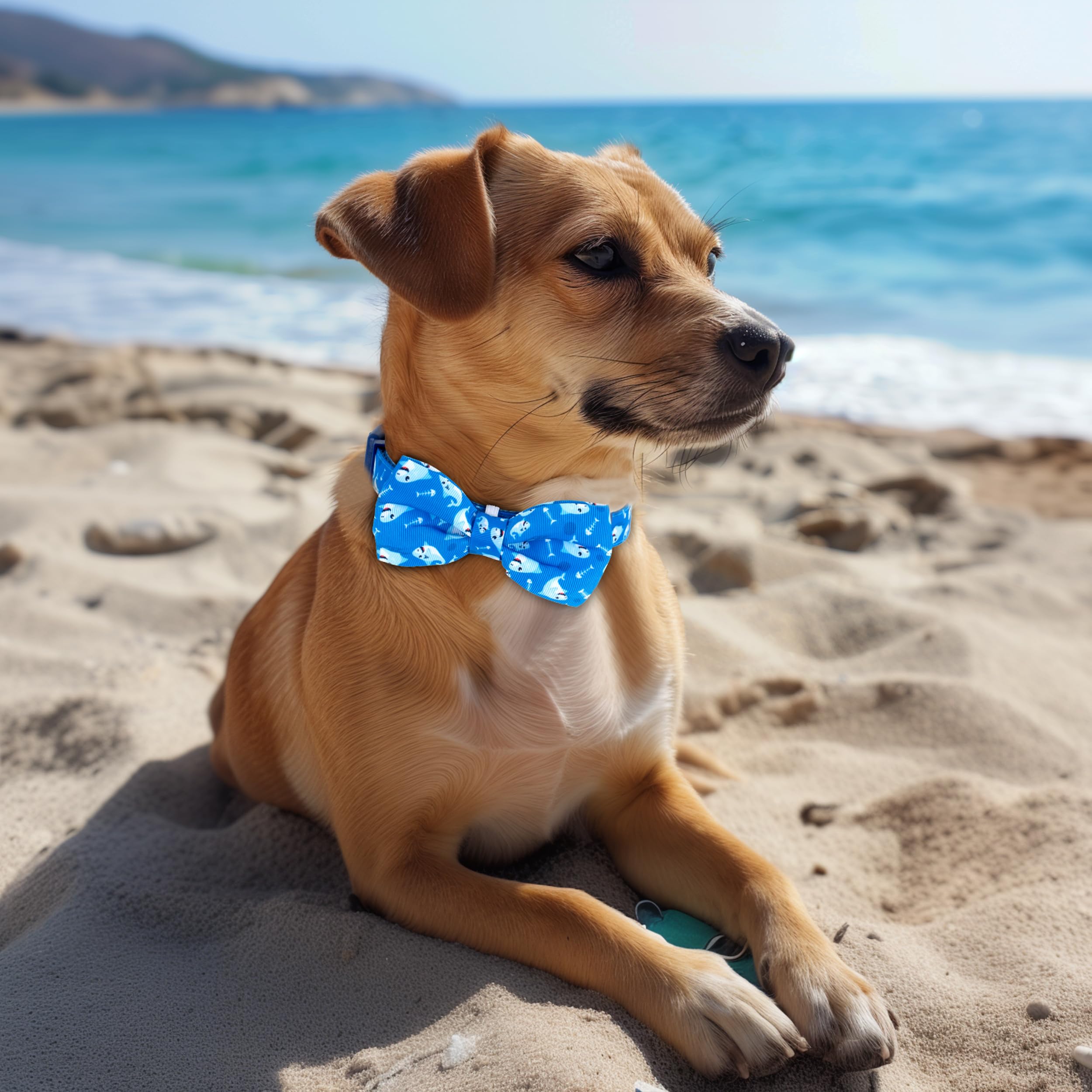 Azuza Dog Collar With Bow Tie, Soft And Comfortable Adjustable Bowtie Dog Collar For Medium Dogs (M, Shark)