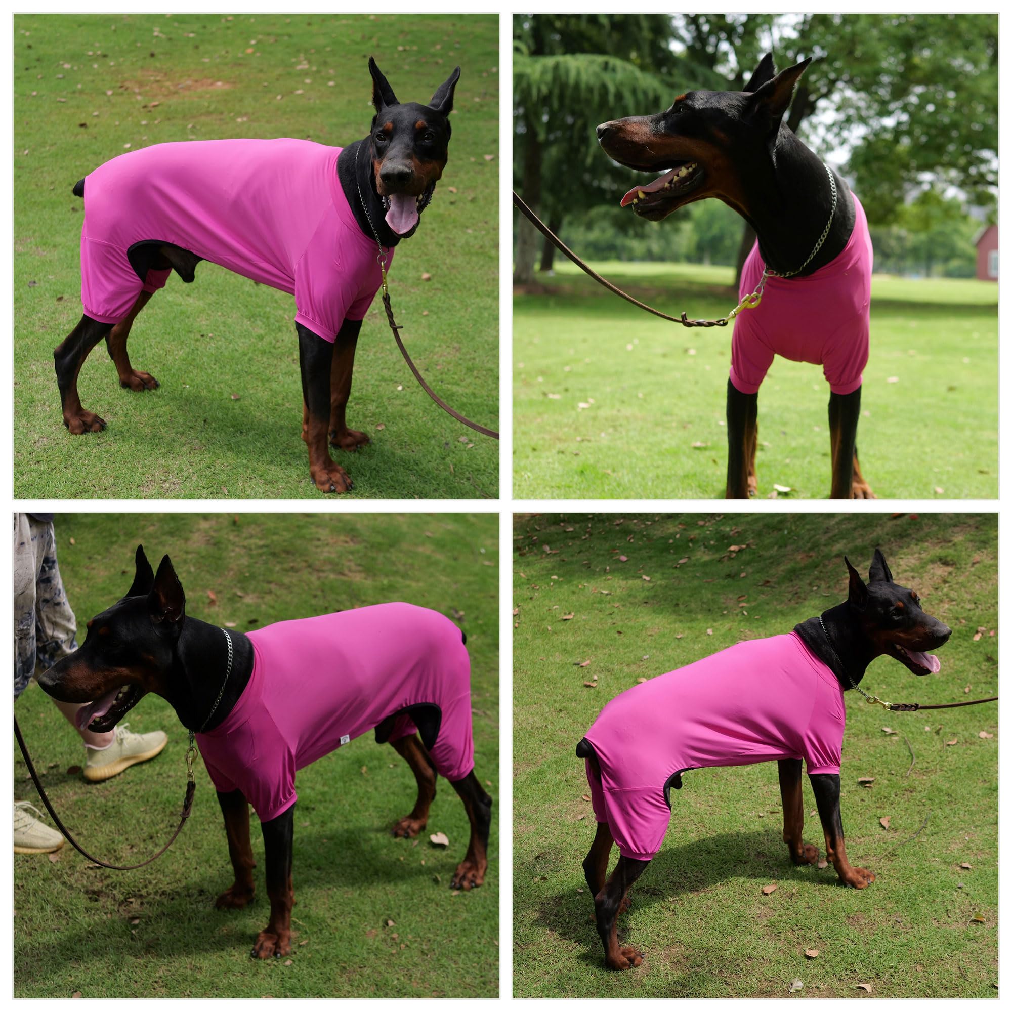 Lovelonglong Dog Jumpsuit With Uv Protection And Quick-Dry Fabric For Spring Summer Pet Pajamas Purplish Red L