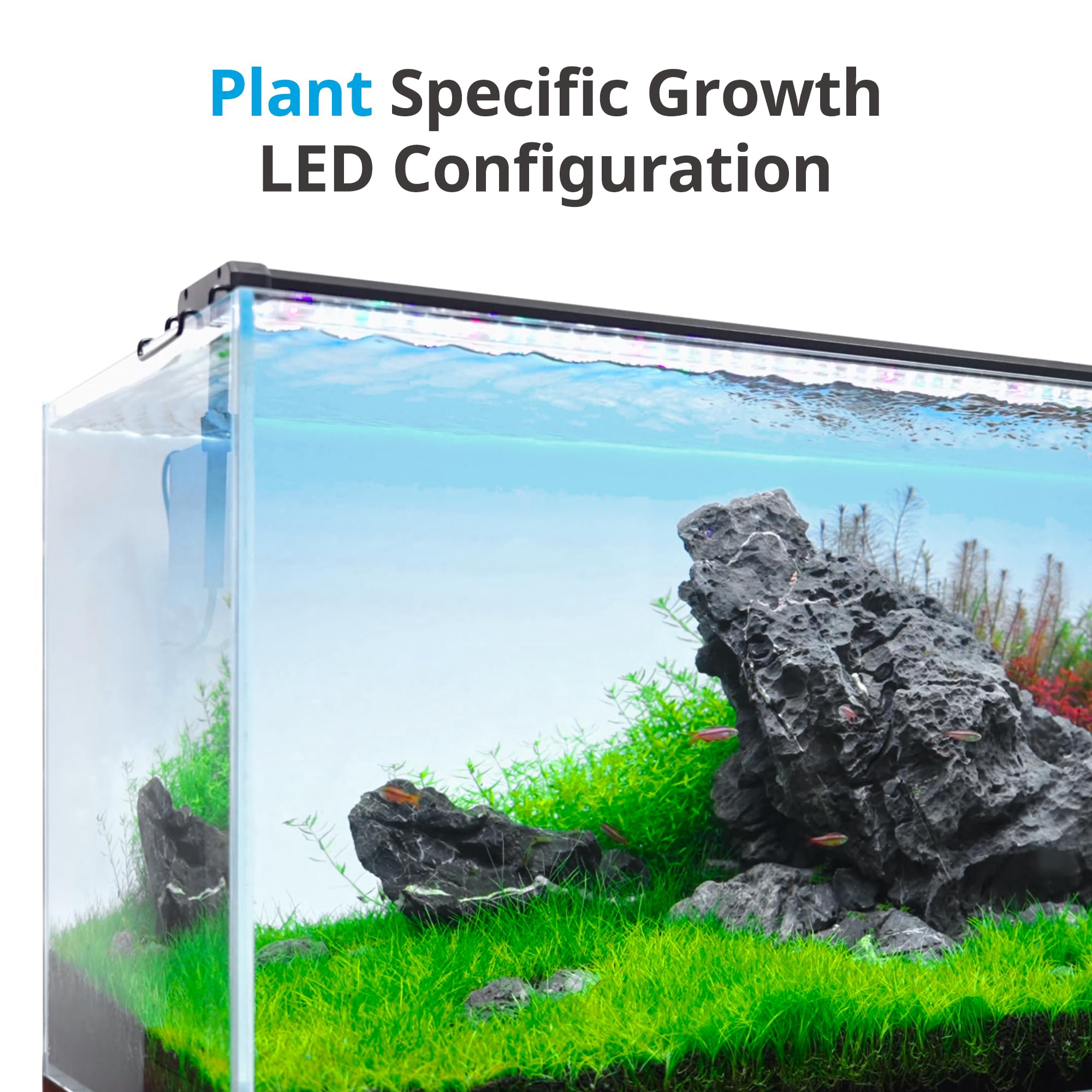 Nicrew Classicled Plus Led Aquarium Light With Timer, 15 Watts, For 18 To 24 Inch Fish Tank Light, Daylight And Moonlight Cycle, Brightness Adjustable