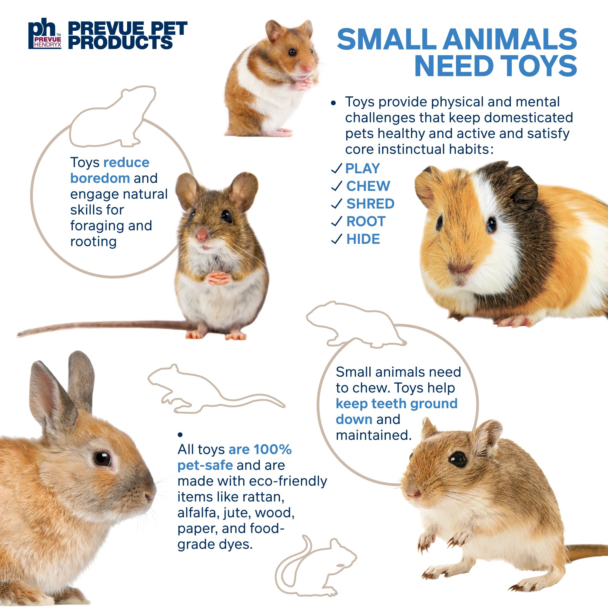 Prevue Pet Products Dine & Dash Small Animal Toy Bundle