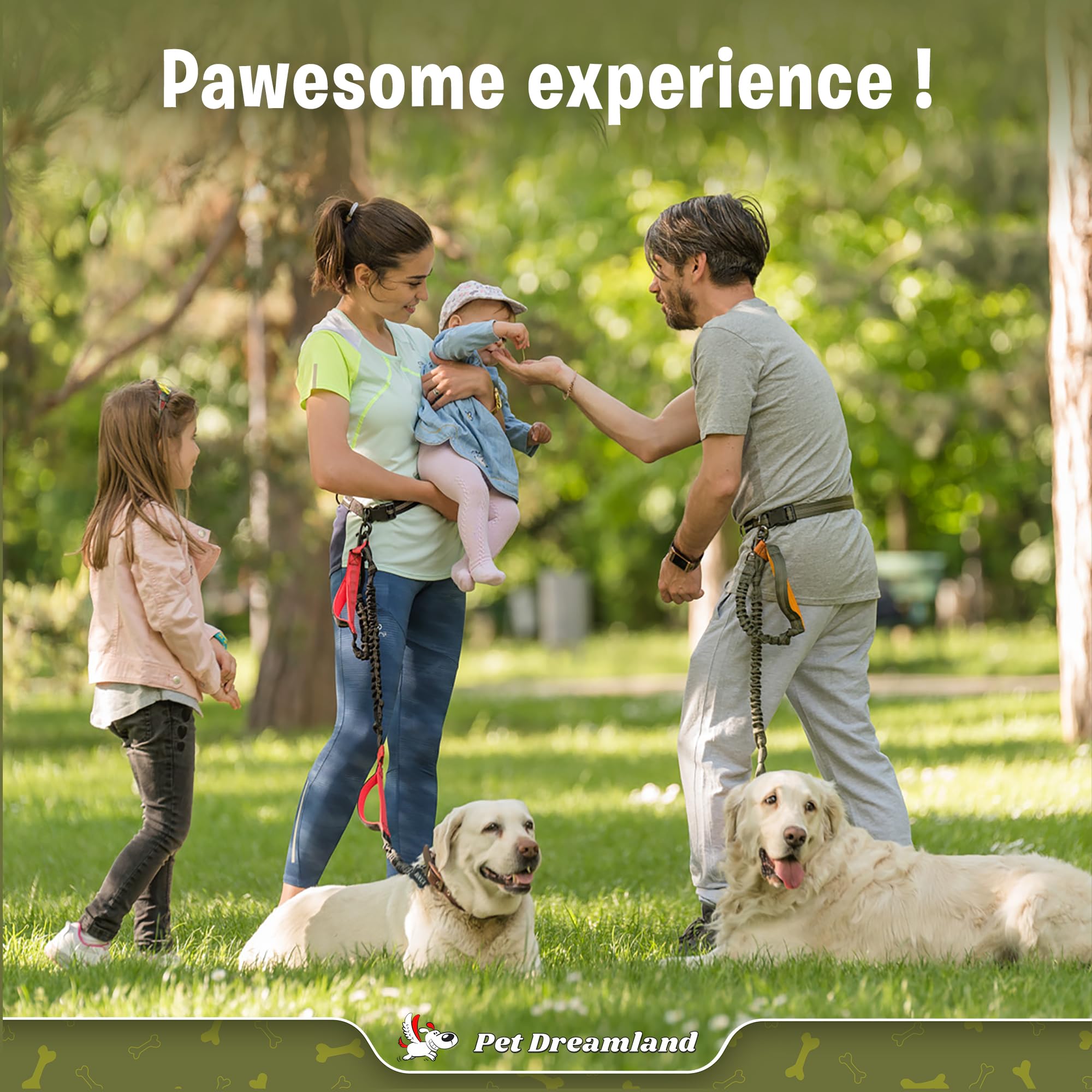 Exquisite Hands Free Leash For Medium Dogs | Waist Leash For Dog Walking | Dog Running Leash | Hiking Leash | Service Dog Leash Belt | Adjustable Hands Free Dog Leash For Small Dogs