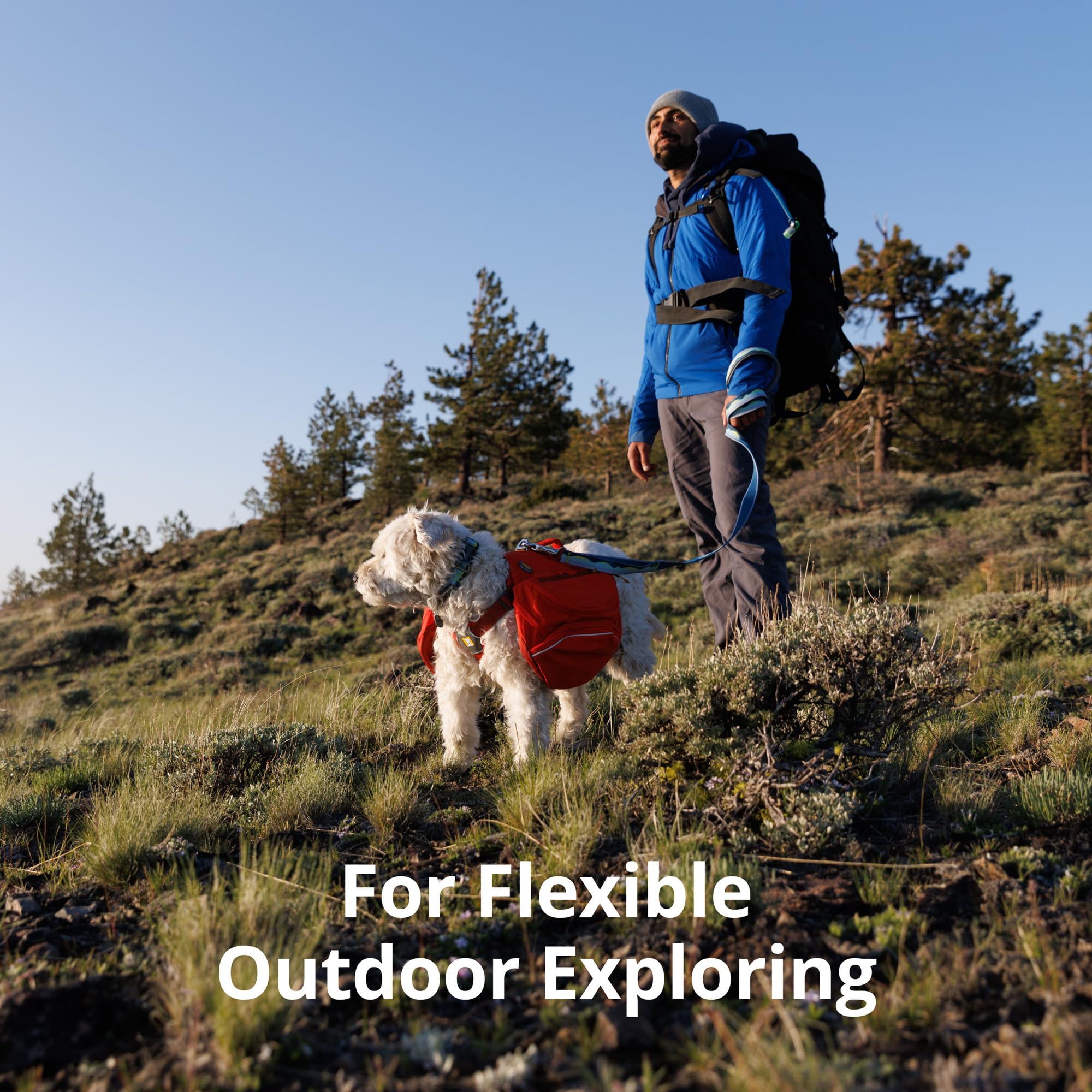 Ruffwear, Crag Dog Leash, Hand-Held Or Waist-Worn Reflective With Traffic Handle, Canyon Oxbow