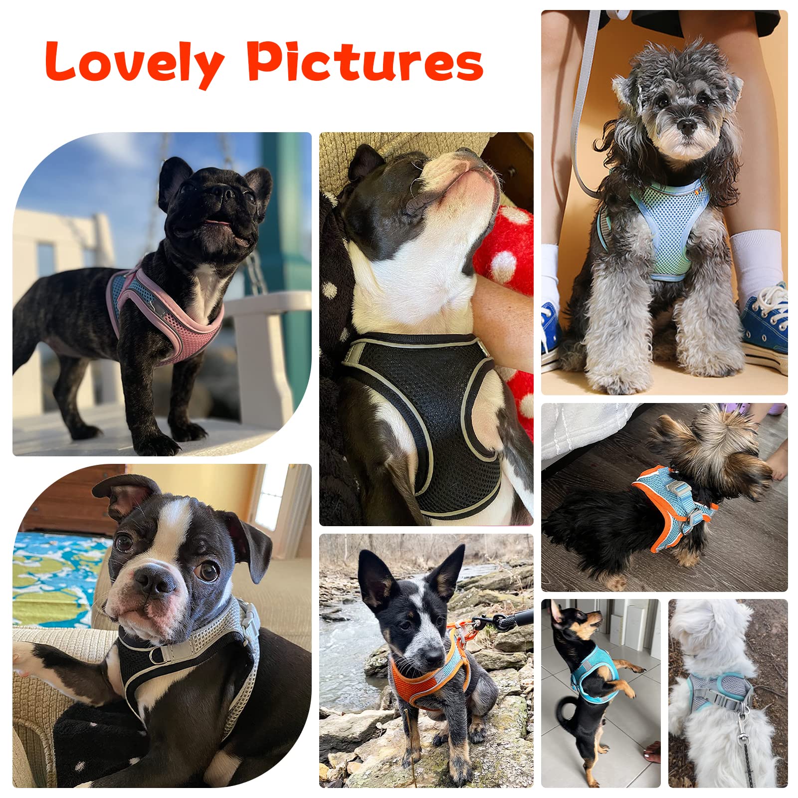 PETPUBGNZS Soft Small Dog Harness and Leash Set Mesh Puppy Harnesses Leash Easy Walk Dog Harness Vest Adjustable Reflective No P