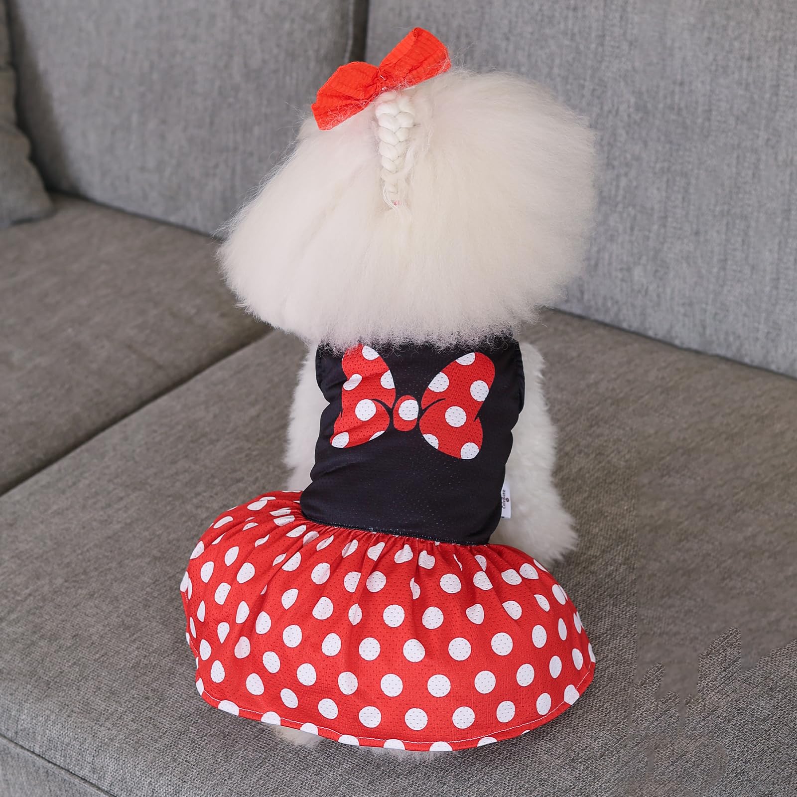 Cutebone Dog Mesh Dress Puppy Sundress Pet Outfit Summer Fashion For Small Dogs Girl Cat Clothes Bf33L-D