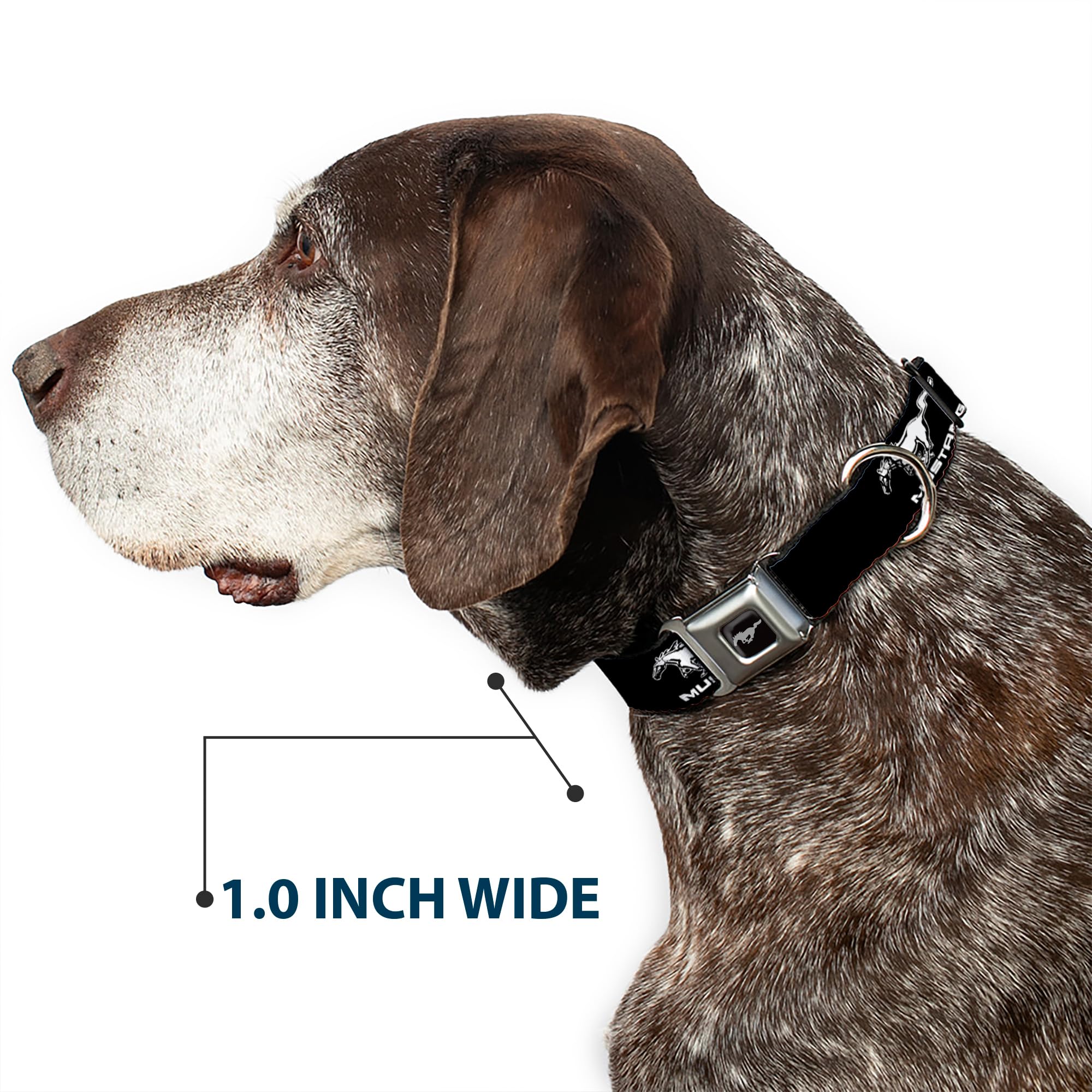 Buckle-Down Dog Collar Seatbelt Buckle Ford Mustang Black White Logo Repeat, 1.5'''' Wide - Fits 13-18'''' Neck - Small (Dc-Wfm0
