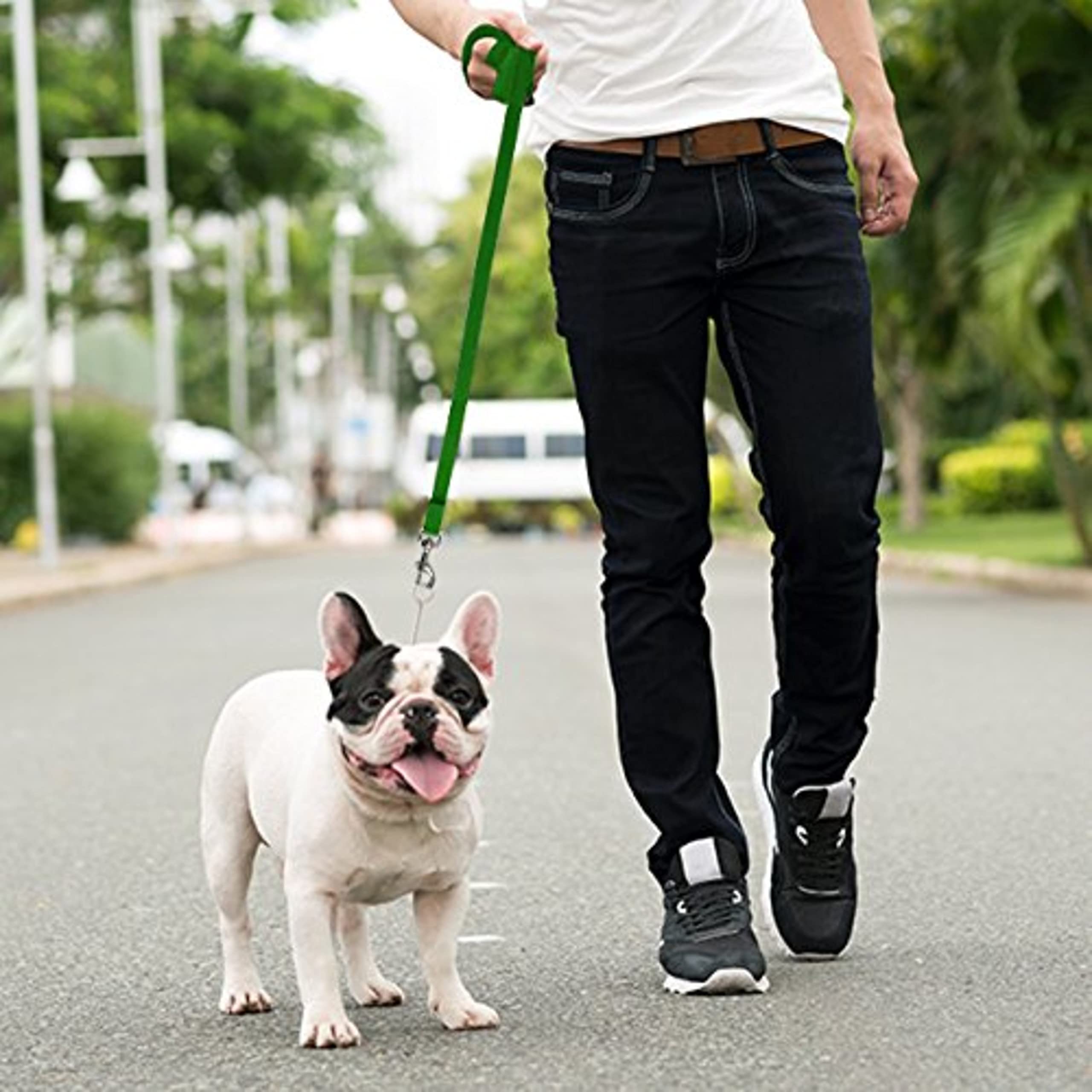 Long Dog Puppy Obedience Recall Training Agility Lead, Leash - GREEN, 15 Foot - by, Downtown Pet Supply