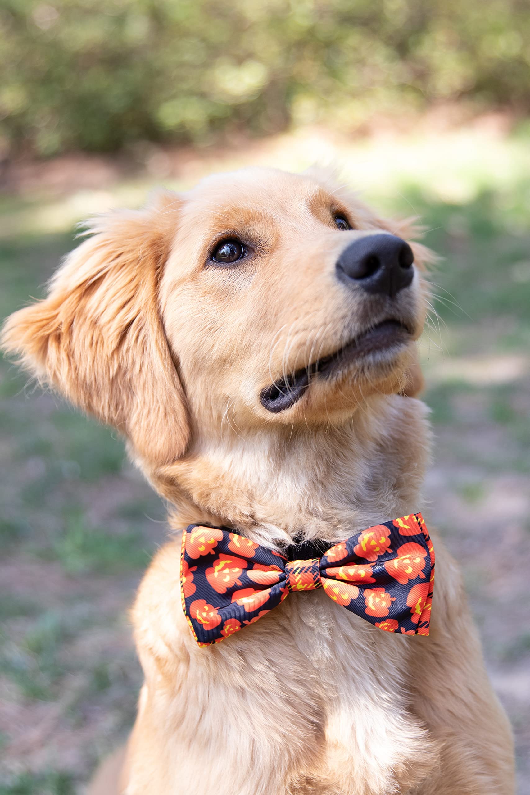 Huxley & Kent Bow Tie For Pets | Plaid-O-Lantern (Extra-Large) | Halloween Bow Tie Collar Attachment | Fun Bow Ties For Dogs & Cats | Cute, Comfortable, And Durable | H&K Bow Tie