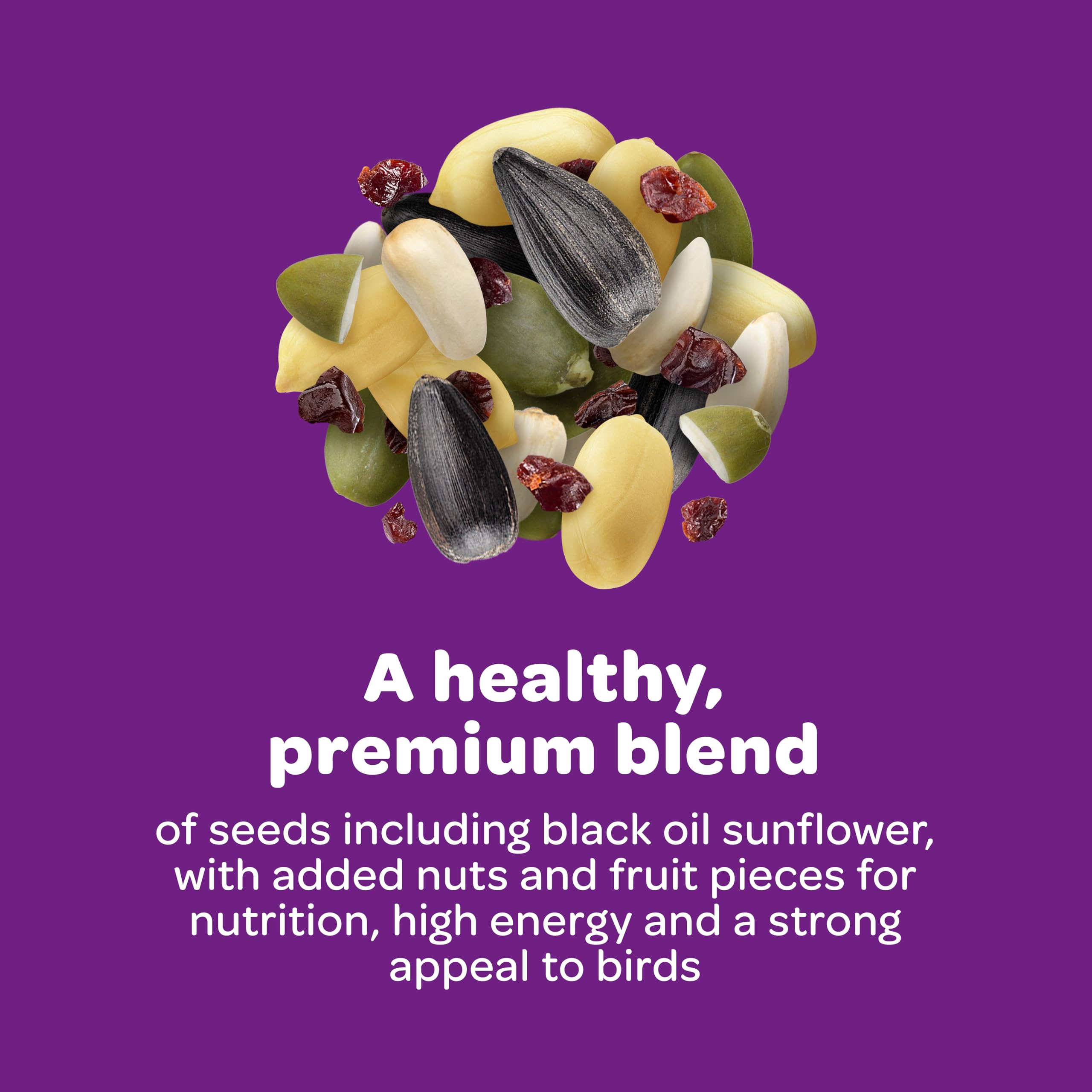 Kaytee Nut & Fruit Wild Bird Seed, 5 lb