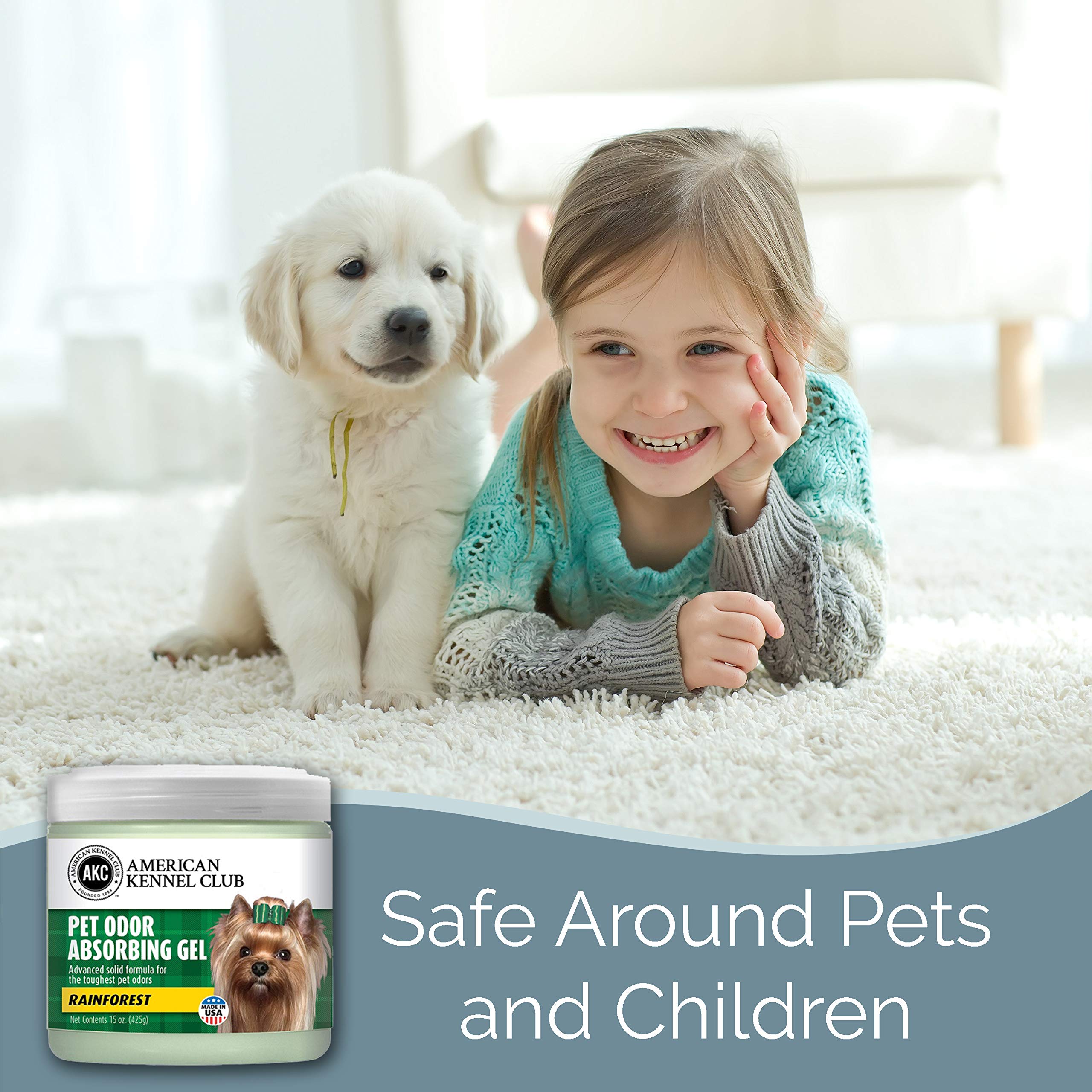 Smells Begone Pet Odor Absorber Gel - Air Freshener - Made With Essential Oils - Rainforest Scent - 15 Ounce - 2 Pack