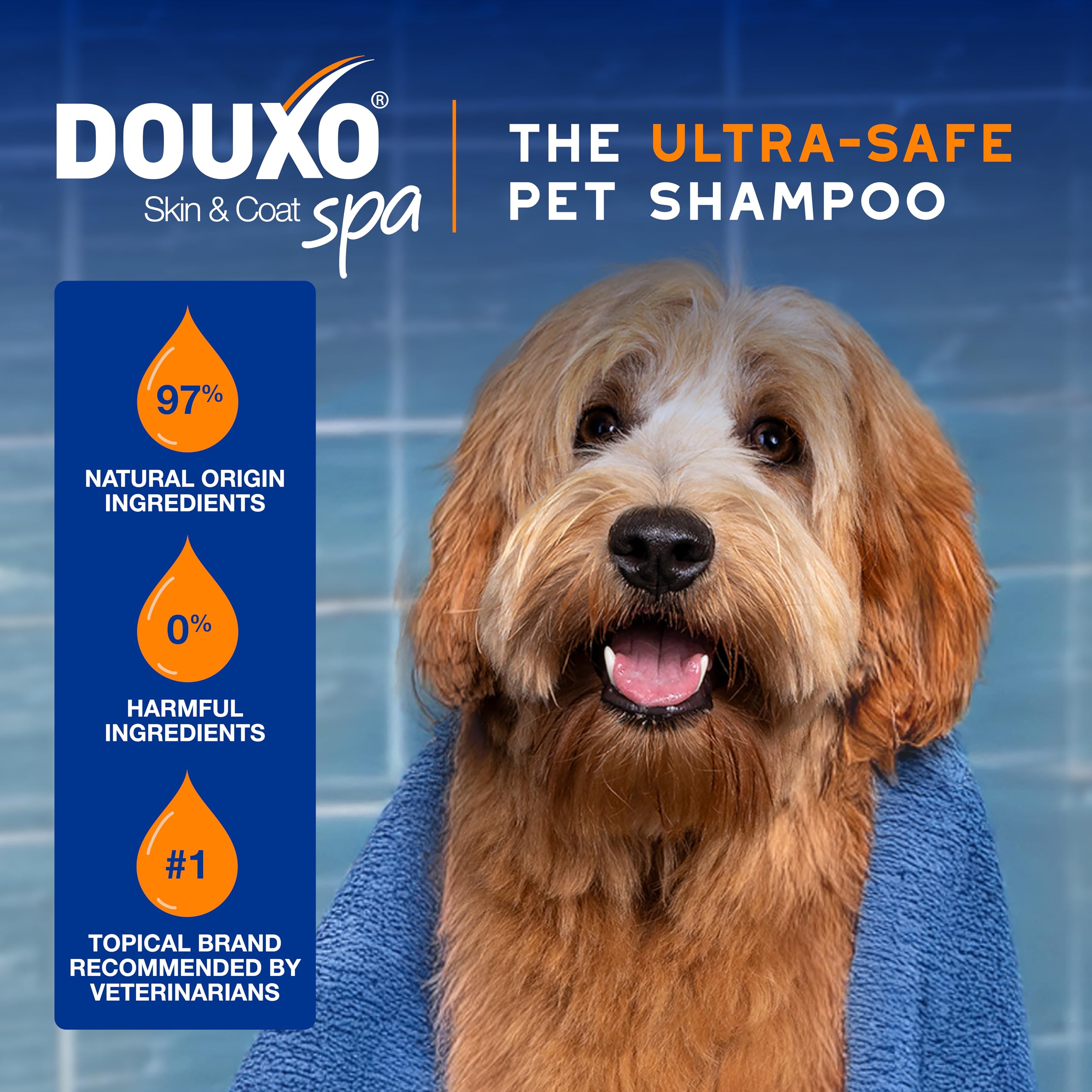 Douxo Skin & Coat Spa - Ultra-Safe 2 In 1 Conditioning Dog Shampoo, 16 Fl Oz, Cleans And Deeply Hydrates The Skin, Enhances The
