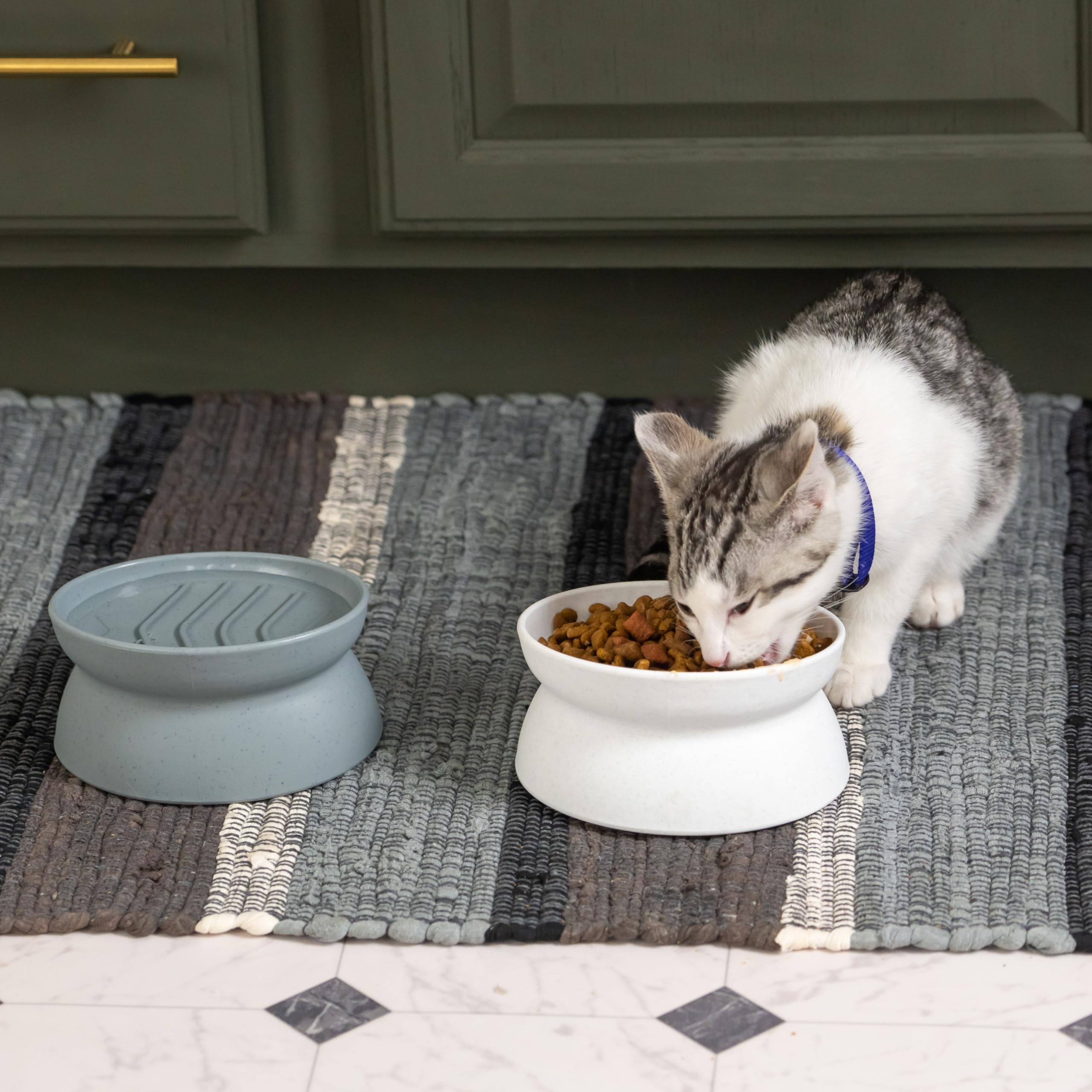 Kitty City Raised Cat Food Bowl Collection/Stress Free Pet Feeder and Waterer and Slow Feed Bowls