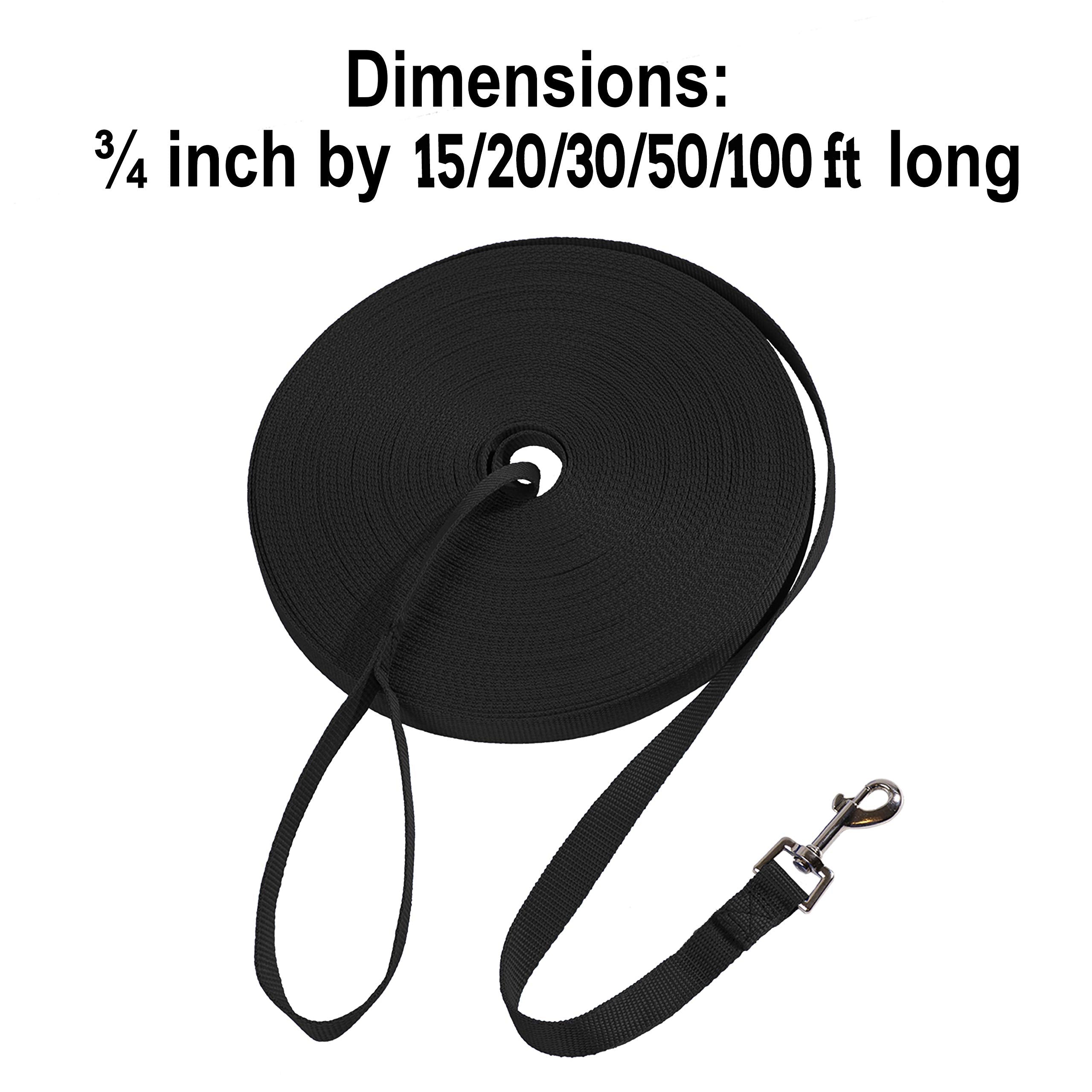 Hi Kiss Dog/Puppy Obedience Recall Training Agility Lead - 15Ft 20Ft 30Ft 50Ft 100Ft Training Leash - Great For Training, Play, Camping, Or Backyard - Black 20Ft