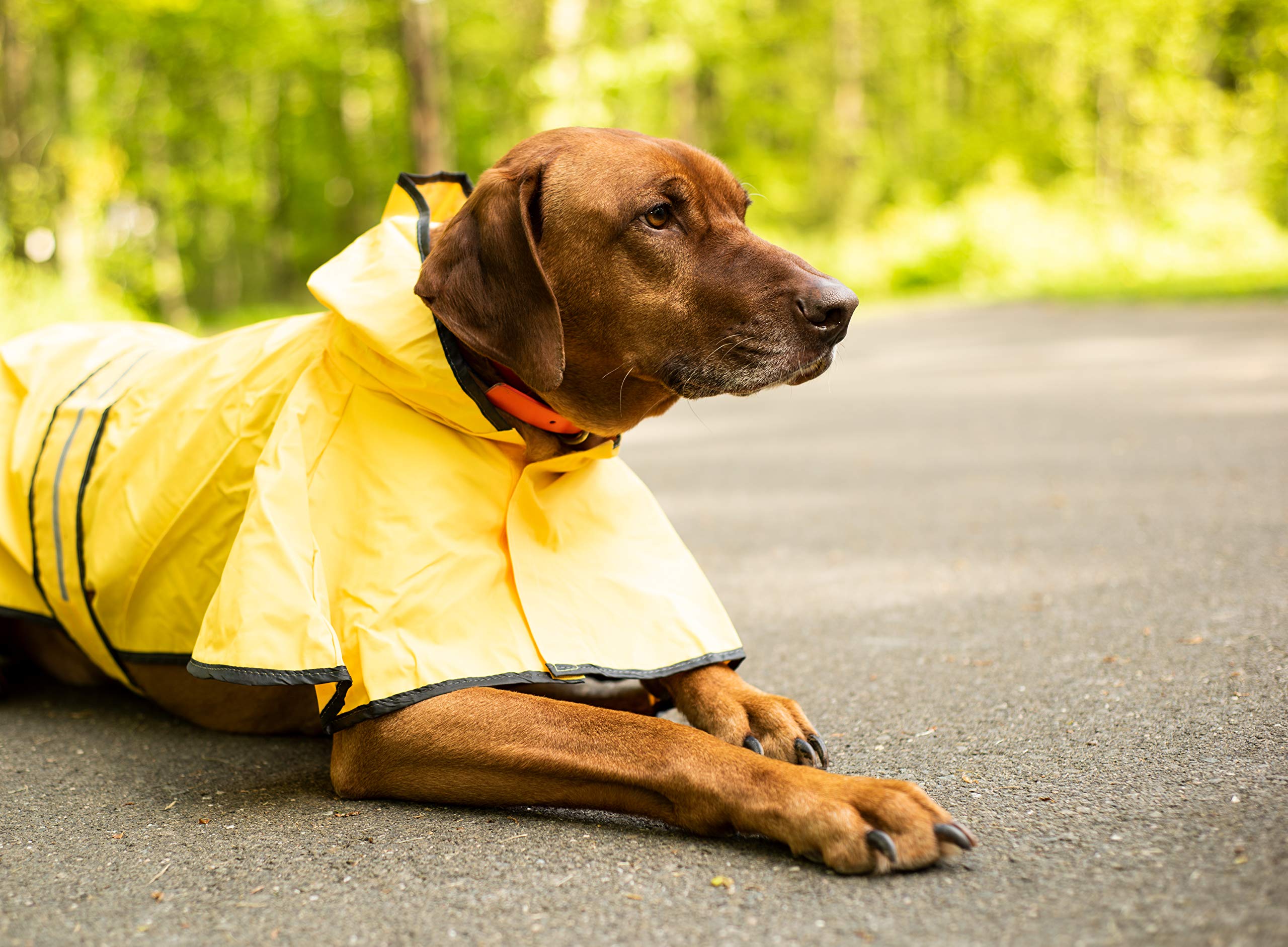 SWT LG YELLOW RAIN SLICKER 560YLG