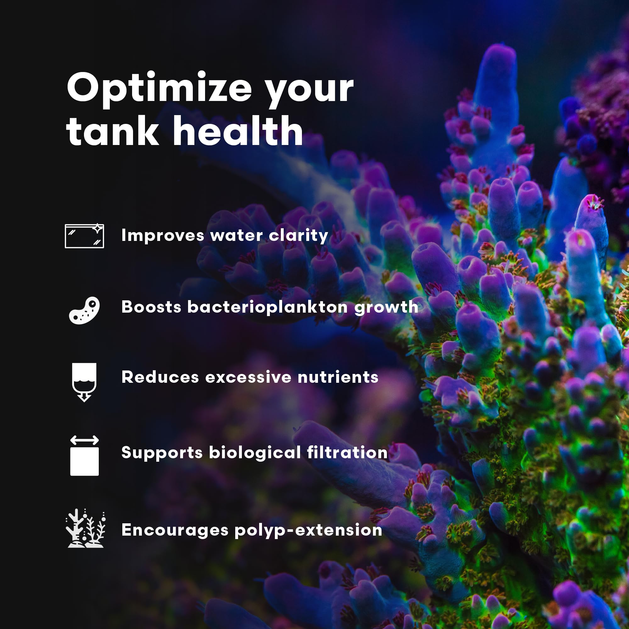 Brightwell Aquatics Reef BioFuel - Organic Carbon Supplement for Marine and Reef Aquariums, Aiding Bacterioplankton Growth That